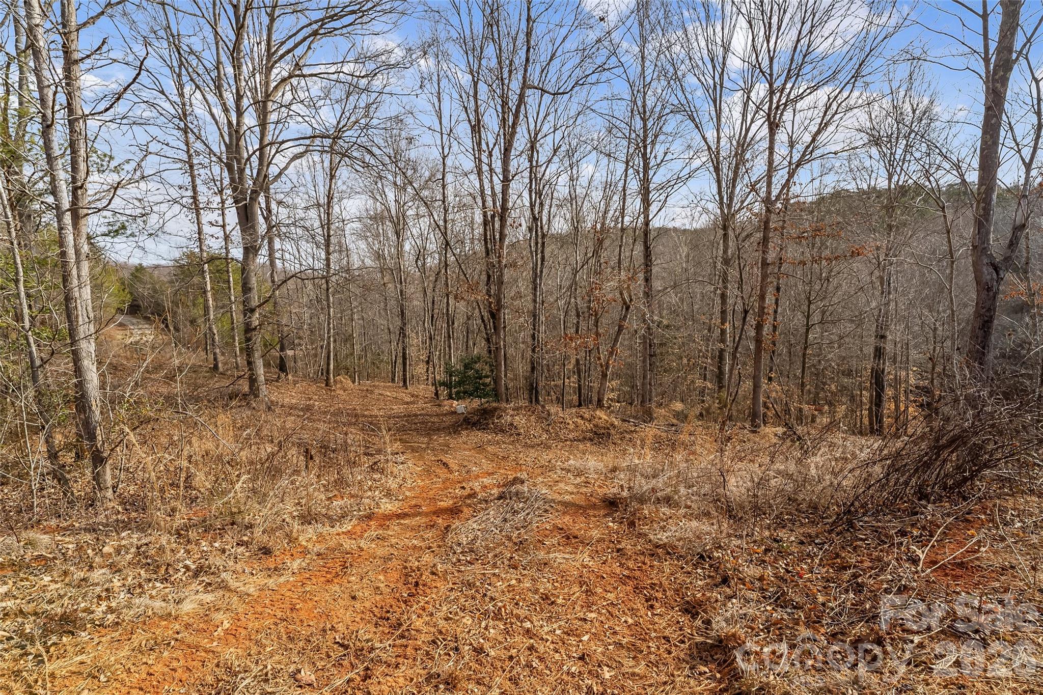 Acreage at 173 & 207 Deer Creek Trail, Statesville, photo 5 of 30