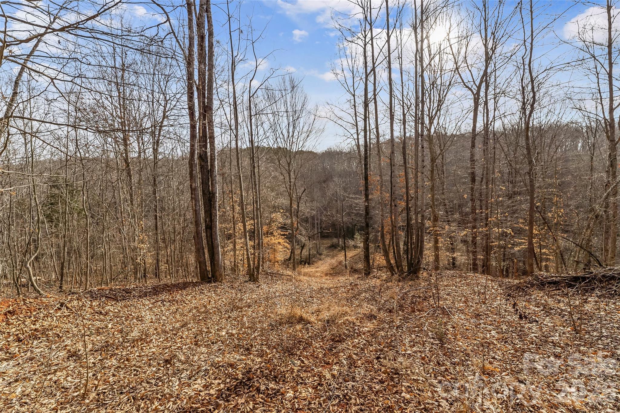 Acreage at 173 & 207 Deer Creek Trail, Statesville, photo 4 of 30