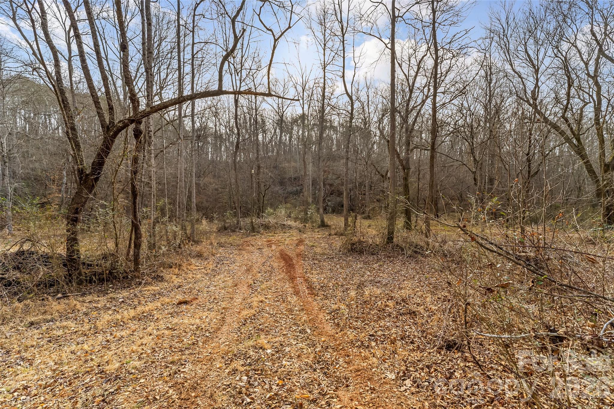 Acreage at 173 & 207 Deer Creek Trail, Statesville, photo 6 of 30