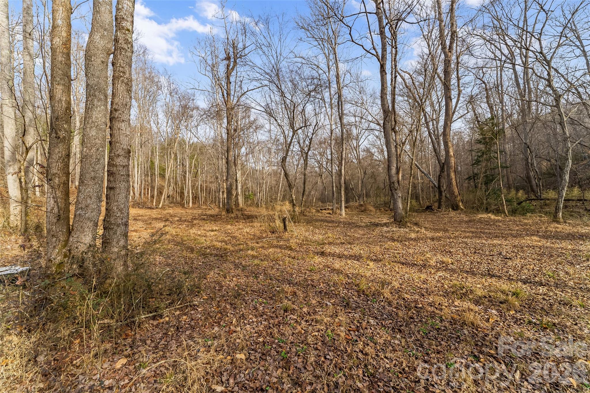 Acreage at 173 & 207 Deer Creek Trail, Statesville, photo 7 of 30