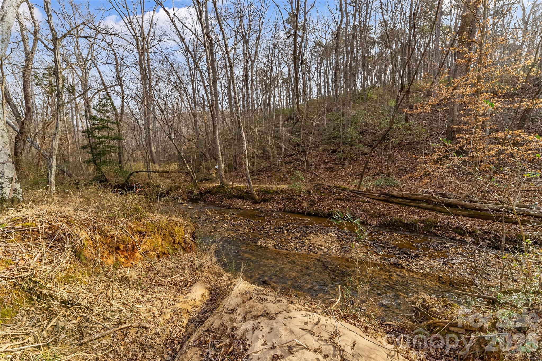 Acreage at 173 & 207 Deer Creek Trail, Statesville, photo 8 of 30