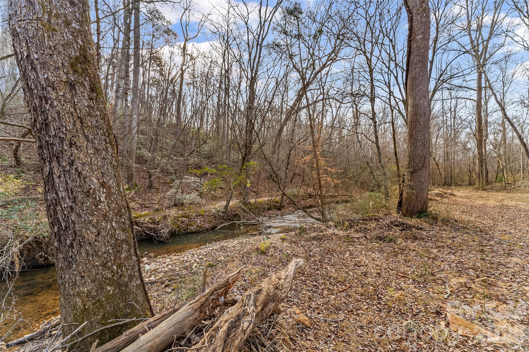Acreage at 173 & 207 Deer Creek Trail, Statesville, photo 9 of 30