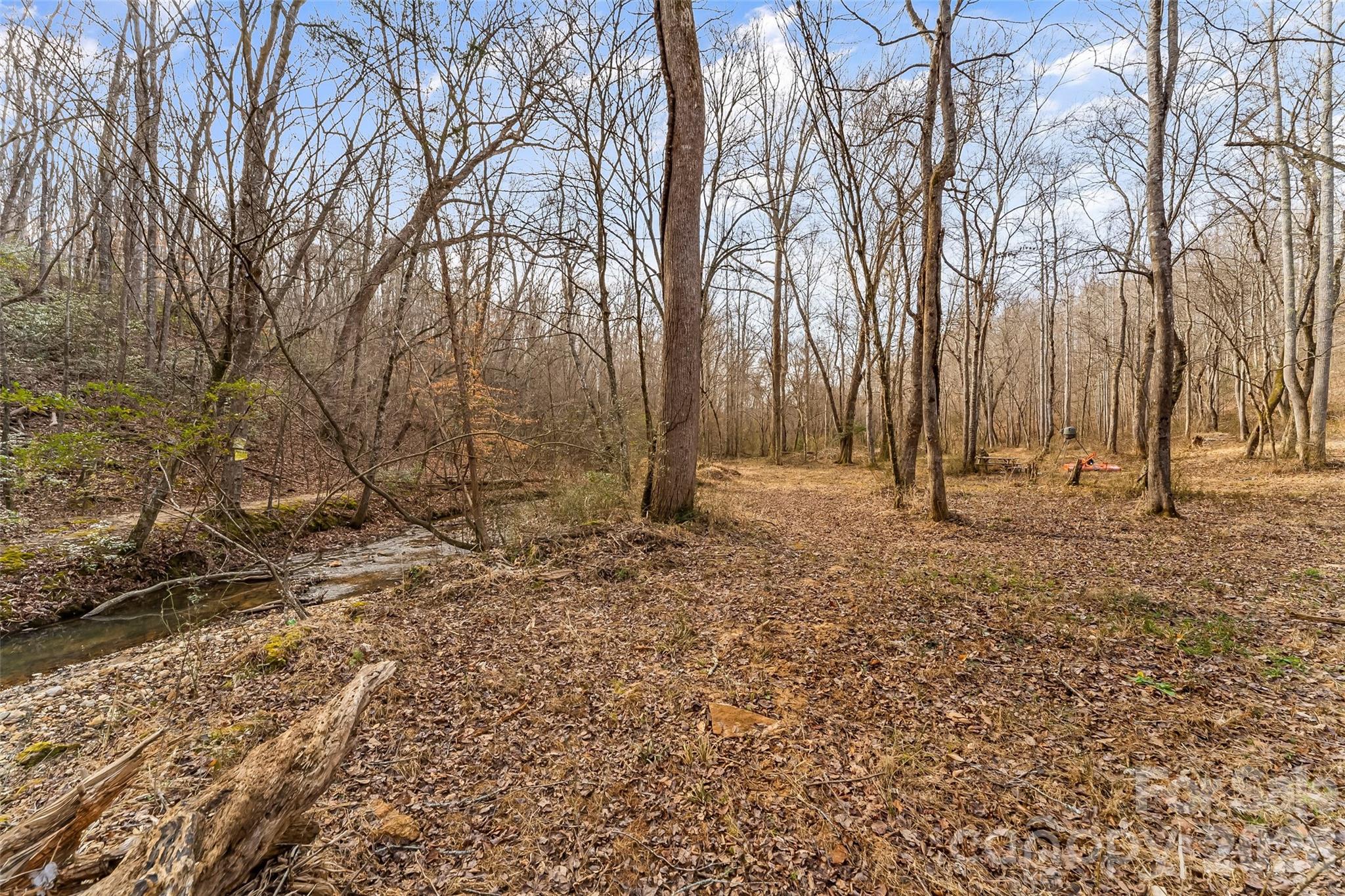 Acreage at 173 & 207 Deer Creek Trail, Statesville, photo 10 of 30