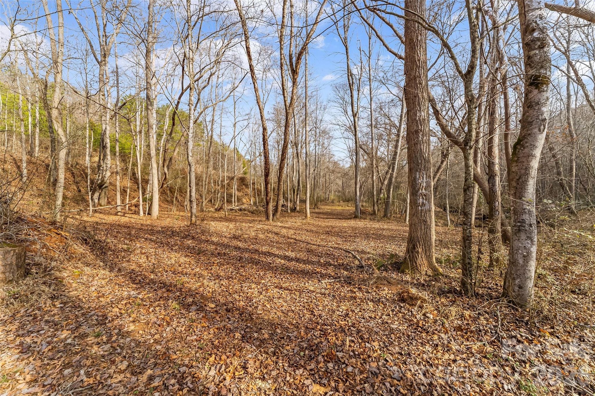 Acreage at 173 & 207 Deer Creek Trail, Statesville, photo 11 of 30