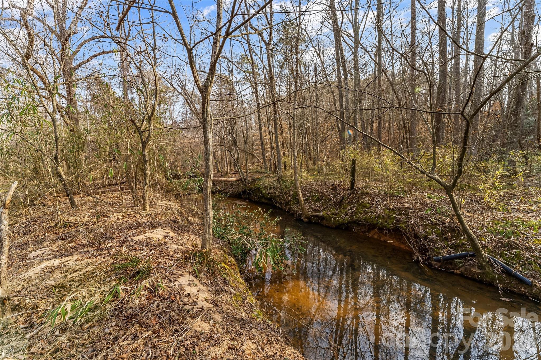 Acreage at 173 & 207 Deer Creek Trail, Statesville, photo 12 of 30