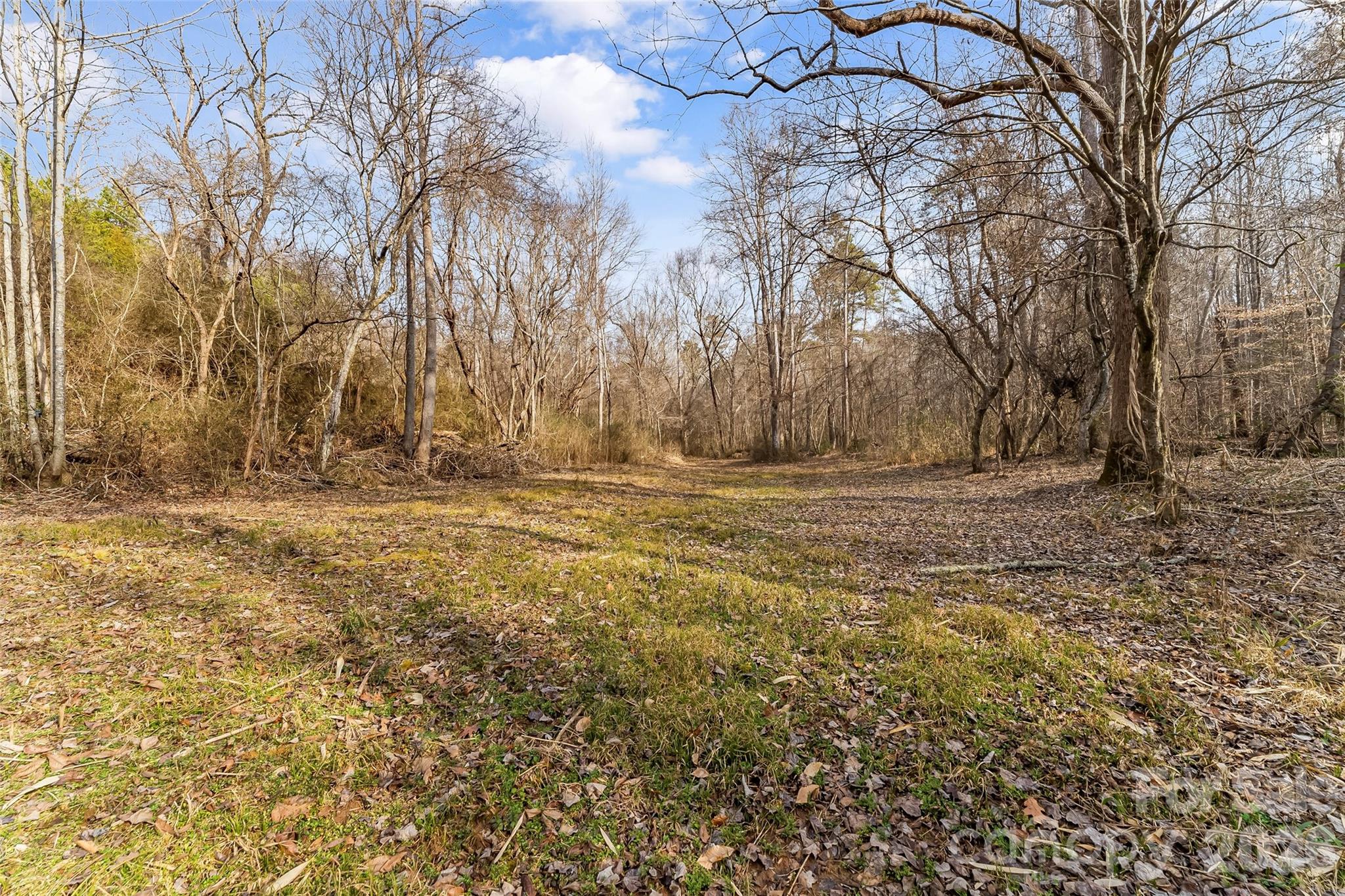 Acreage at 173 & 207 Deer Creek Trail, Statesville, photo 13 of 30