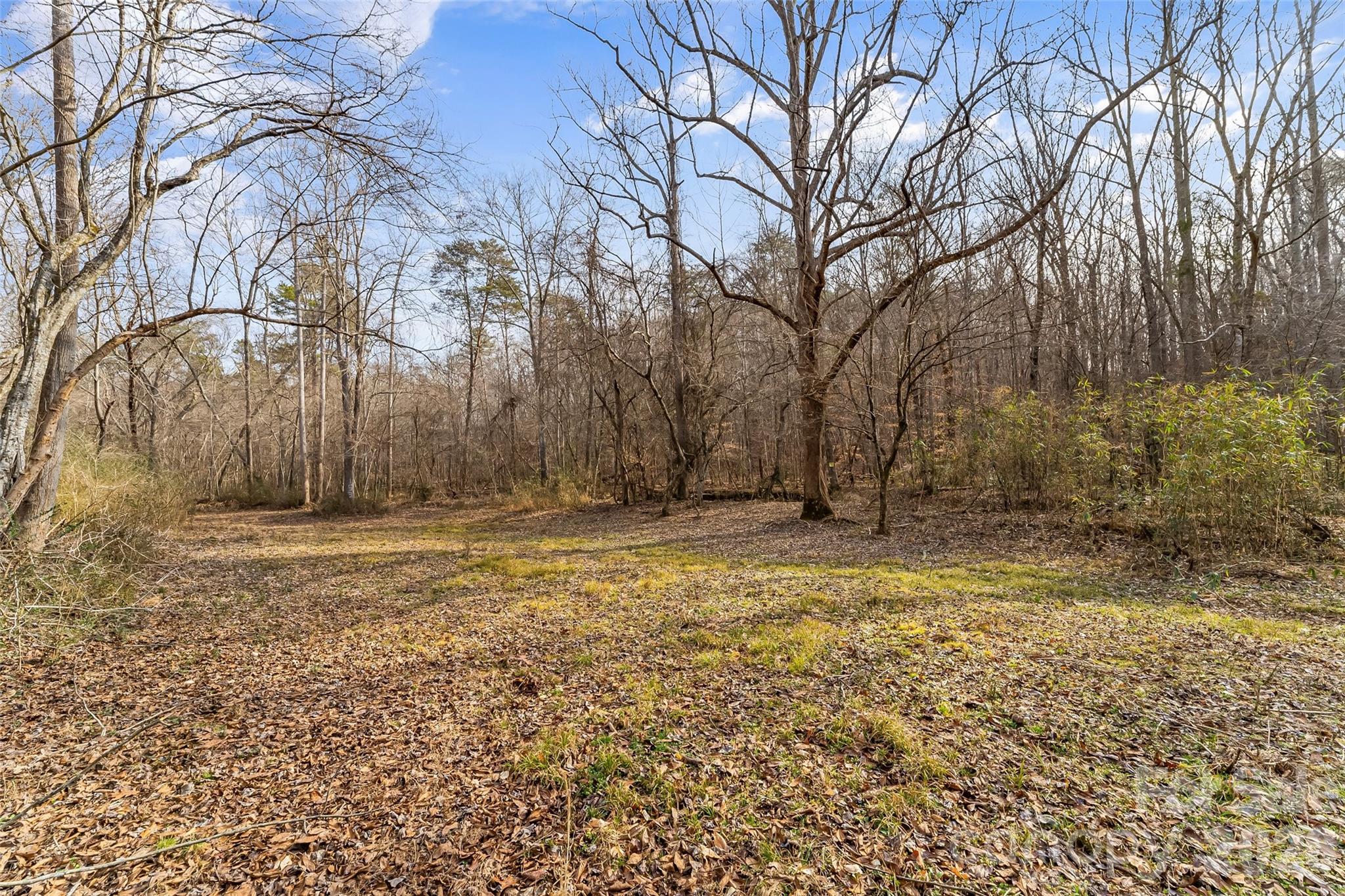 Acreage at 173 & 207 Deer Creek Trail, Statesville, photo 14 of 30