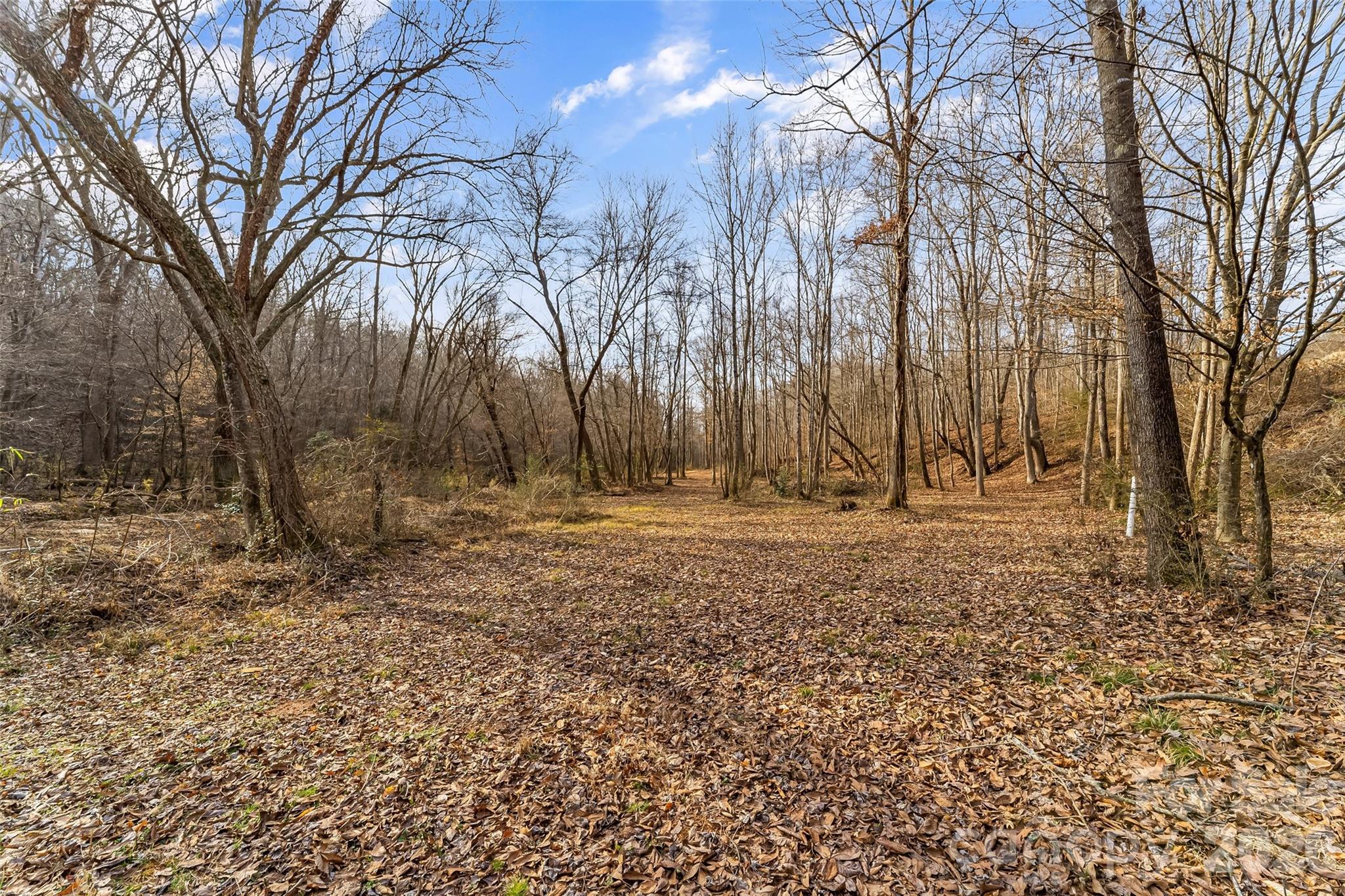 Acreage at 173 & 207 Deer Creek Trail, Statesville, photo 15 of 30
