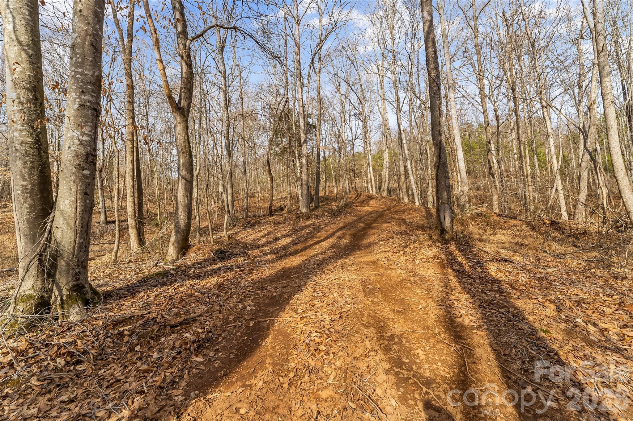 Acreage at 173 & 207 Deer Creek Trail, Statesville, photo 16 of 30