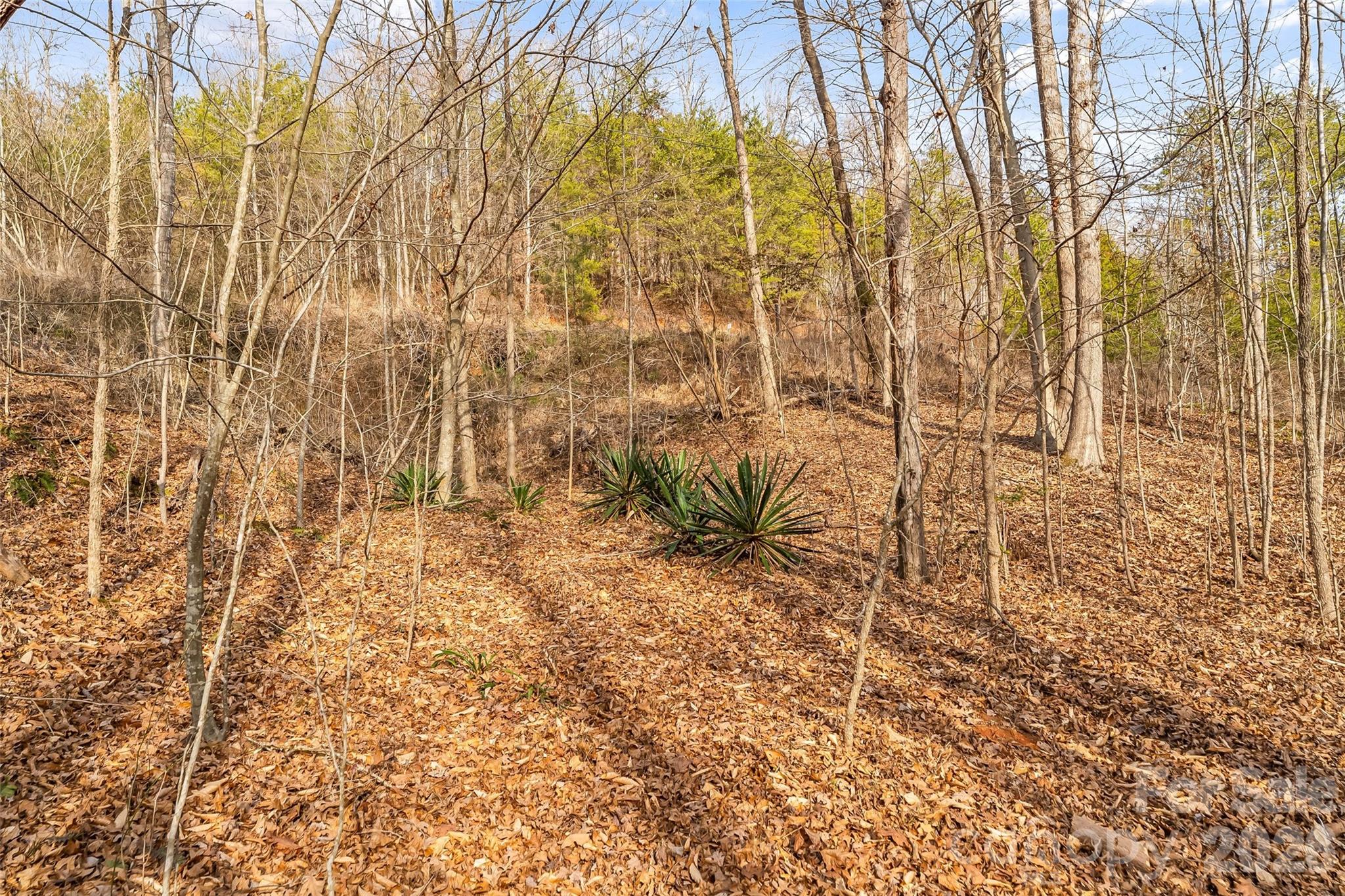 Acreage at 173 & 207 Deer Creek Trail, Statesville, photo 17 of 30