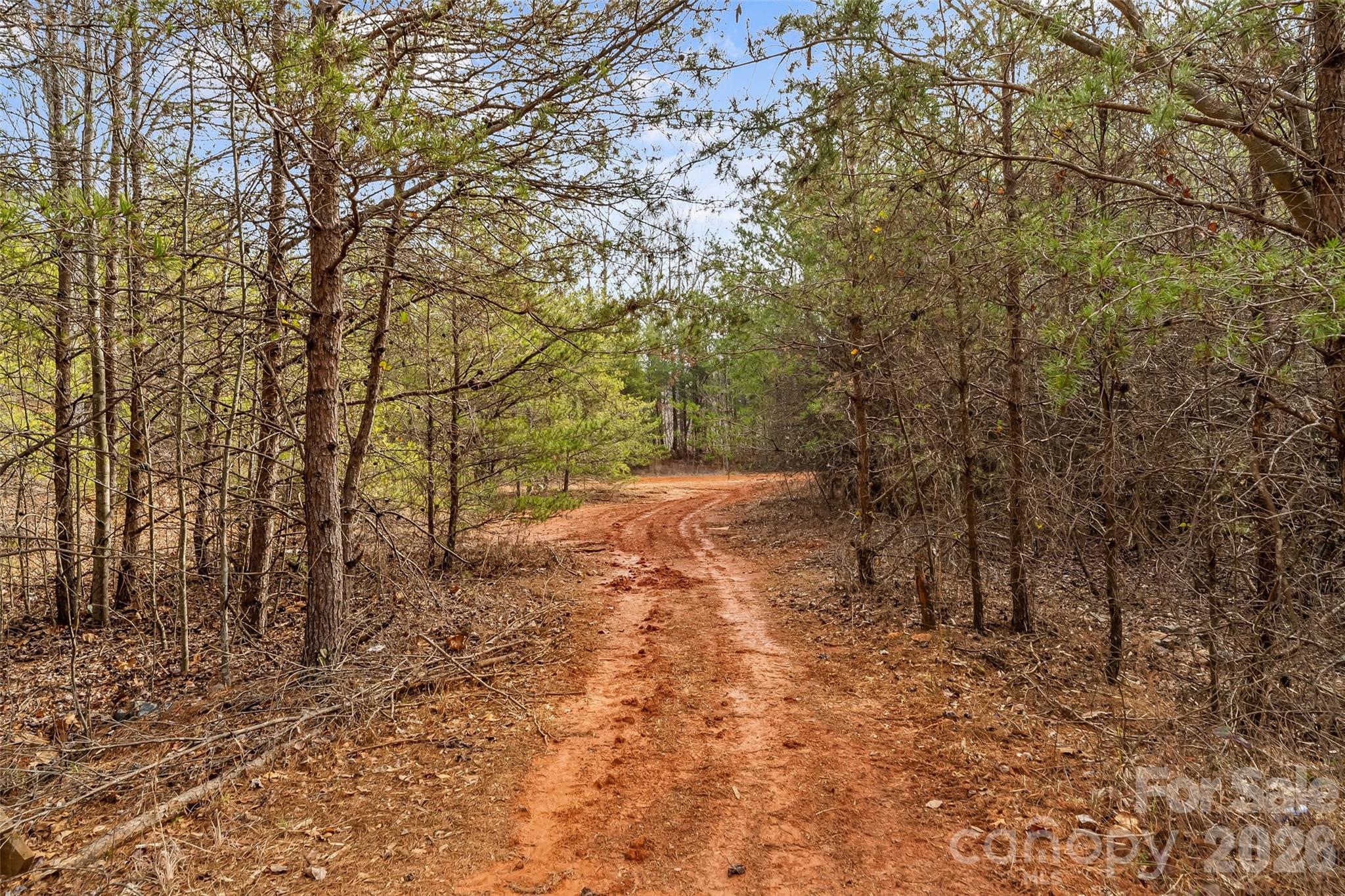 Acreage at 173 & 207 Deer Creek Trail, Statesville, photo 20 of 30