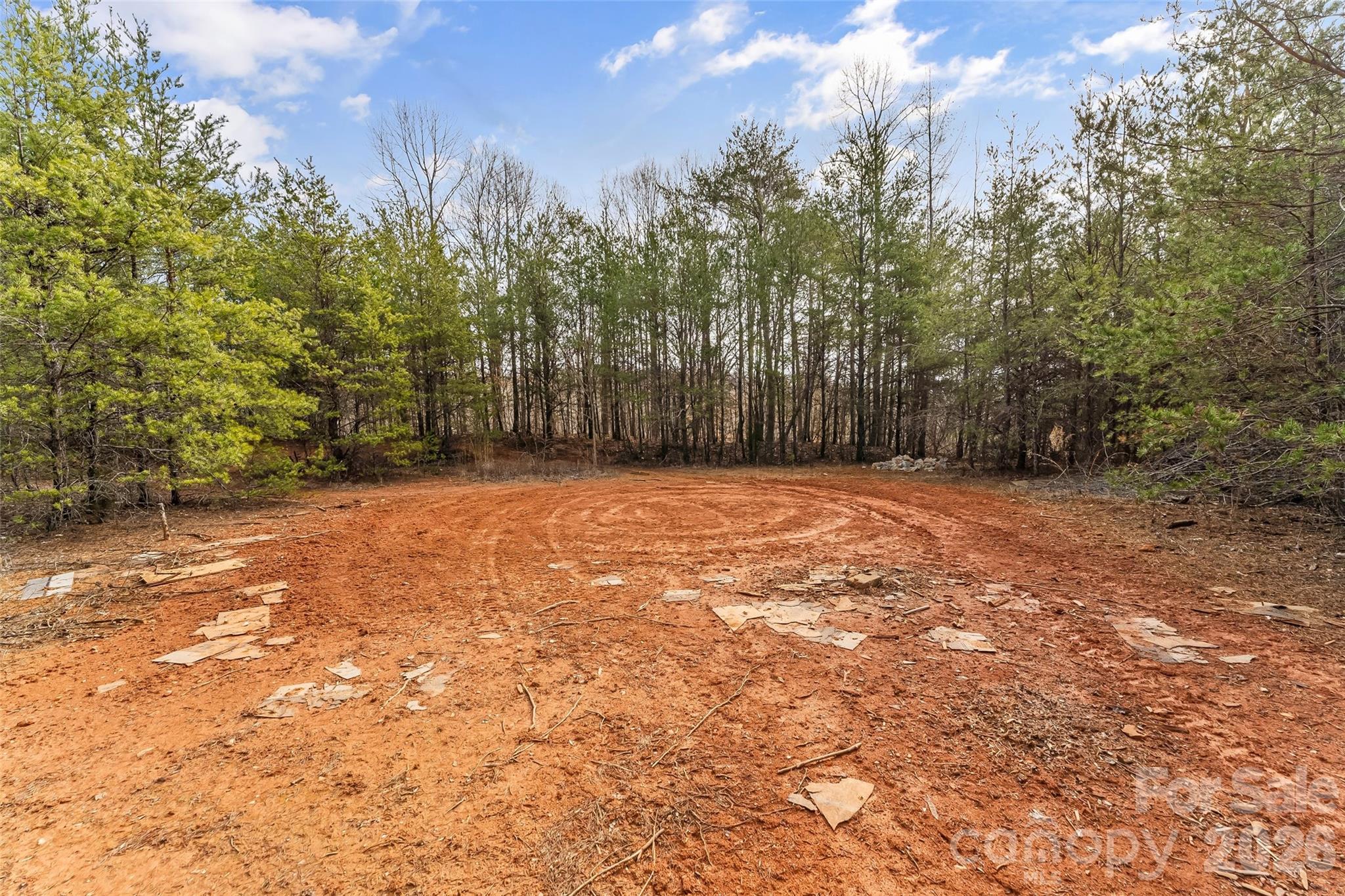 Acreage at 173 & 207 Deer Creek Trail, Statesville, photo 21 of 30