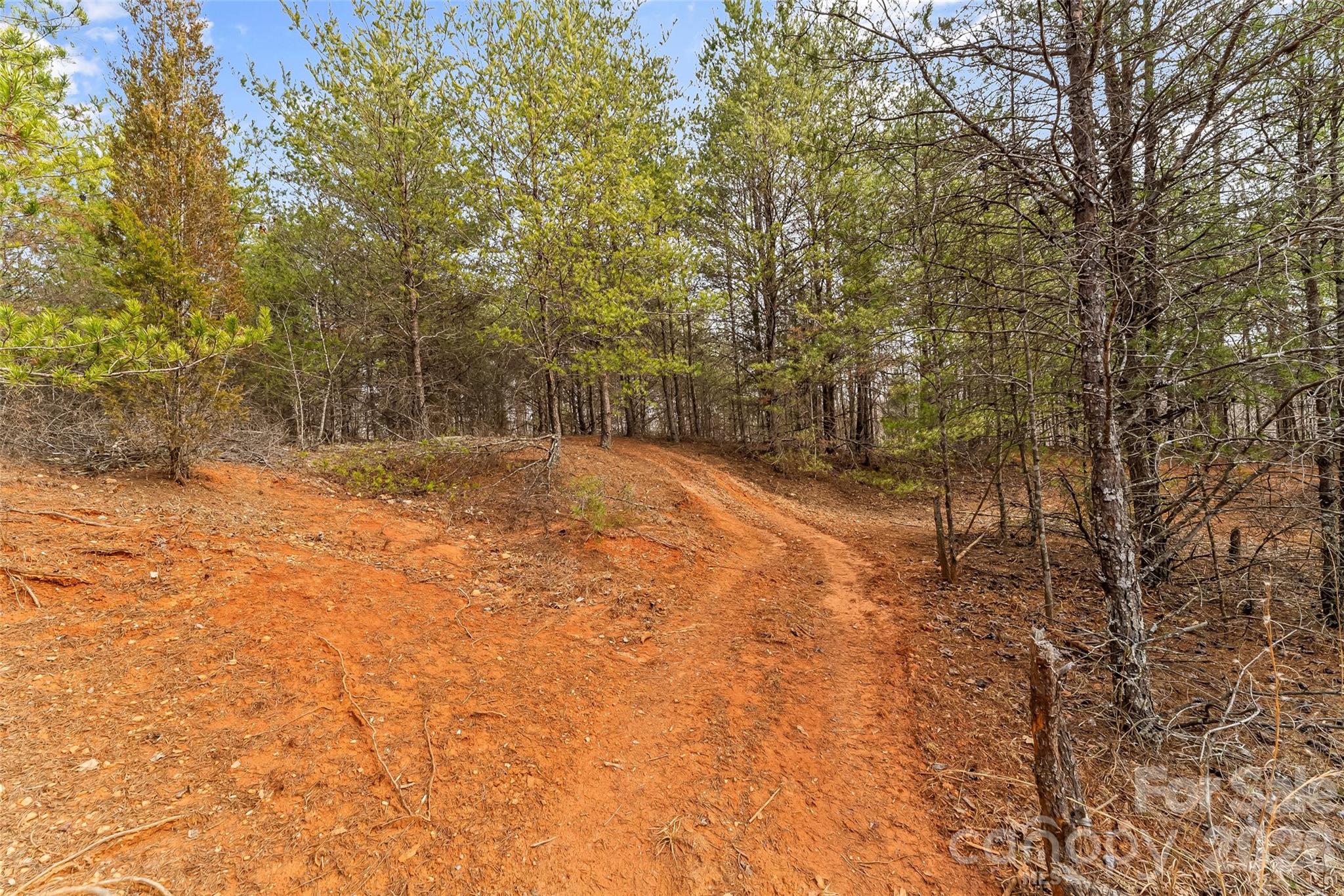 Acreage at 173 & 207 Deer Creek Trail, Statesville, photo 22 of 30