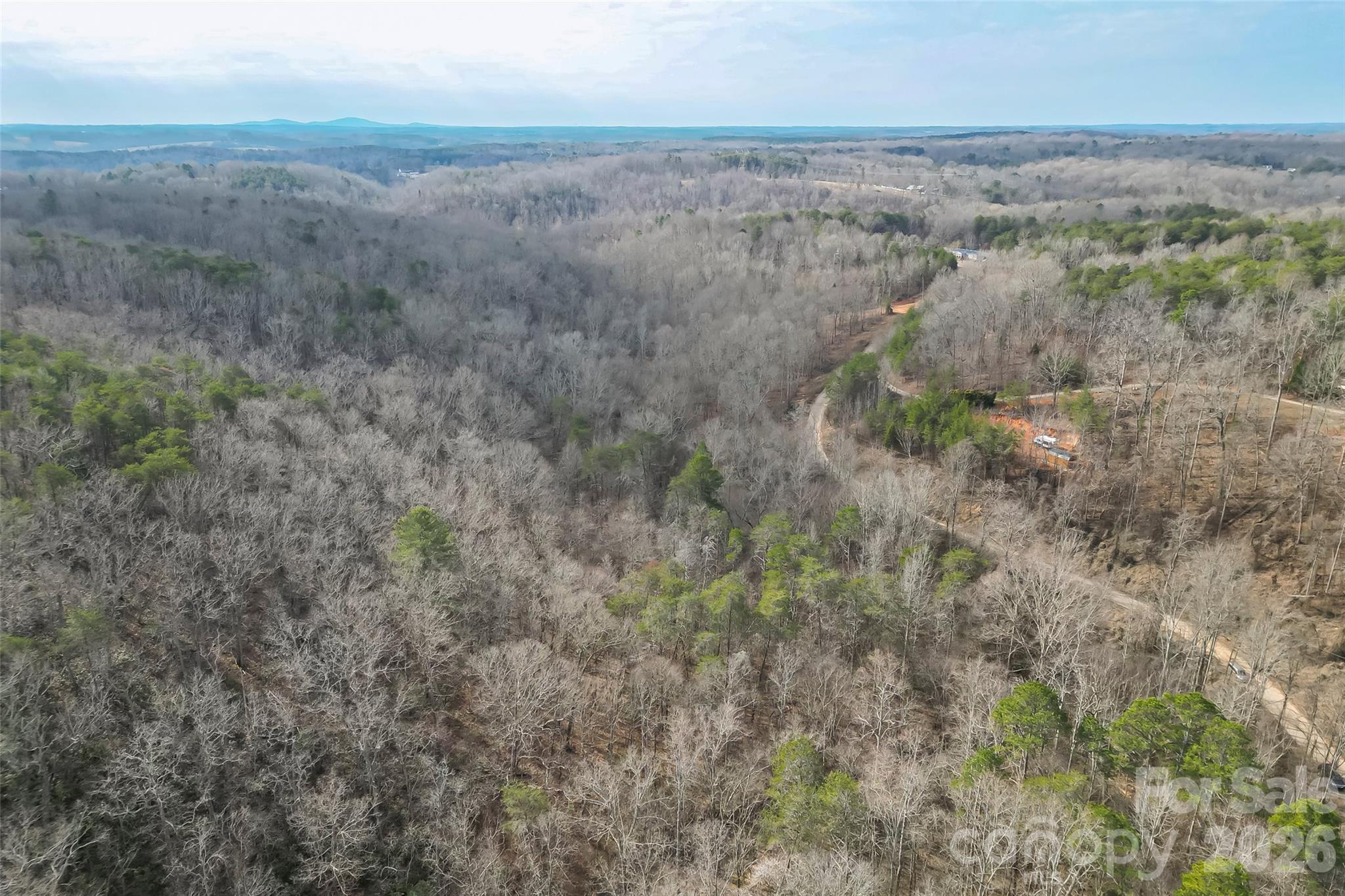 Acreage at 173 & 207 Deer Creek Trail, Statesville, photo 29 of 30