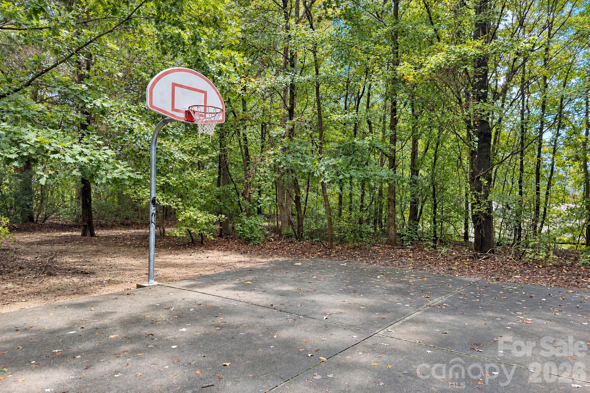 neighborhood basketball court - 109 Summerwood Drive, Mooresville