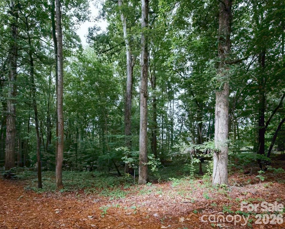 Acreage at 8802 Bartlett Road, Mint Hill, photo 6 of 6