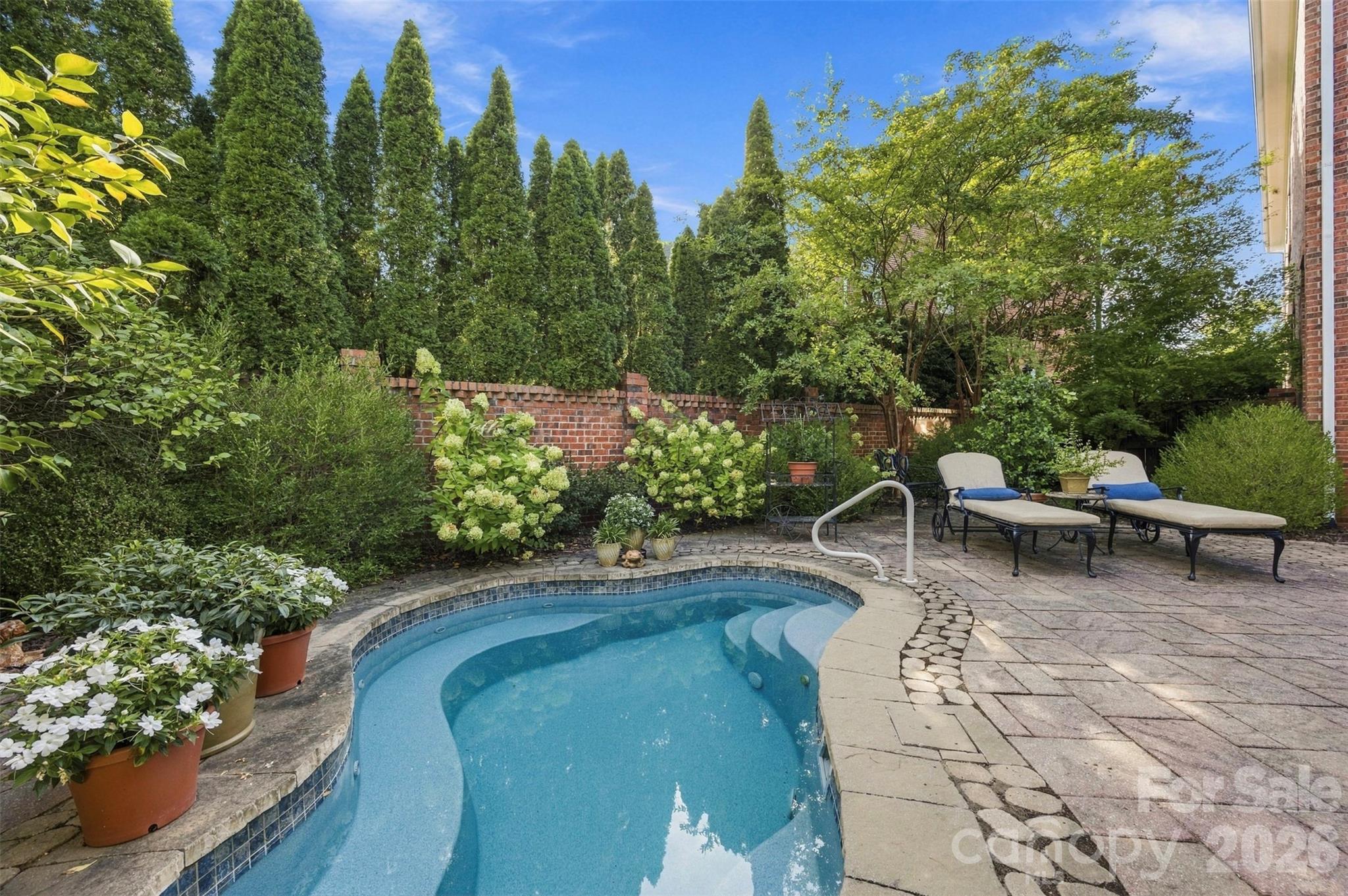 Backyard heated pool - 240 Hawthorne Park Avenue, Belmont