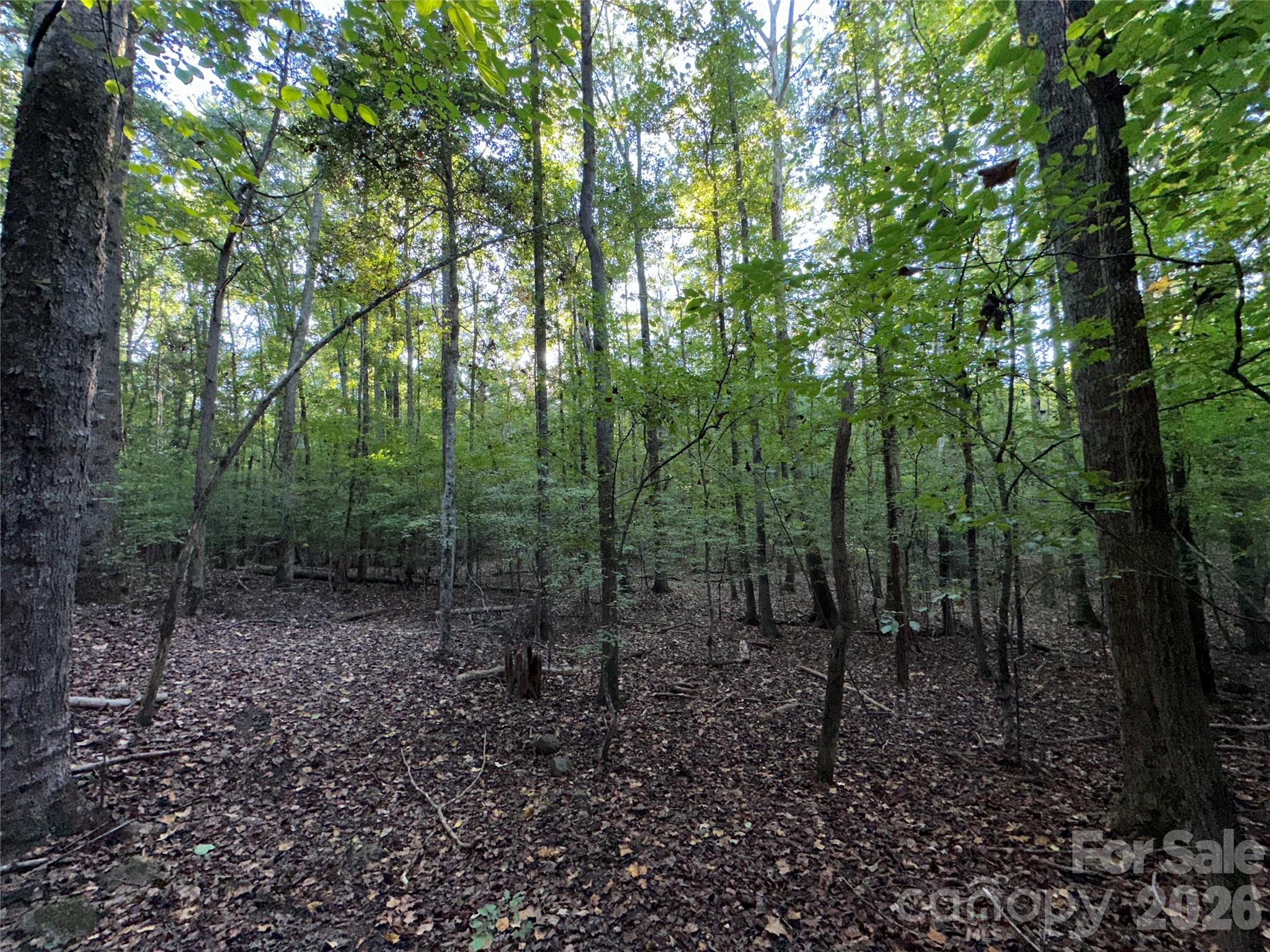 Acreage at 8160 Christopher Road, Concord, photo 6 of 7