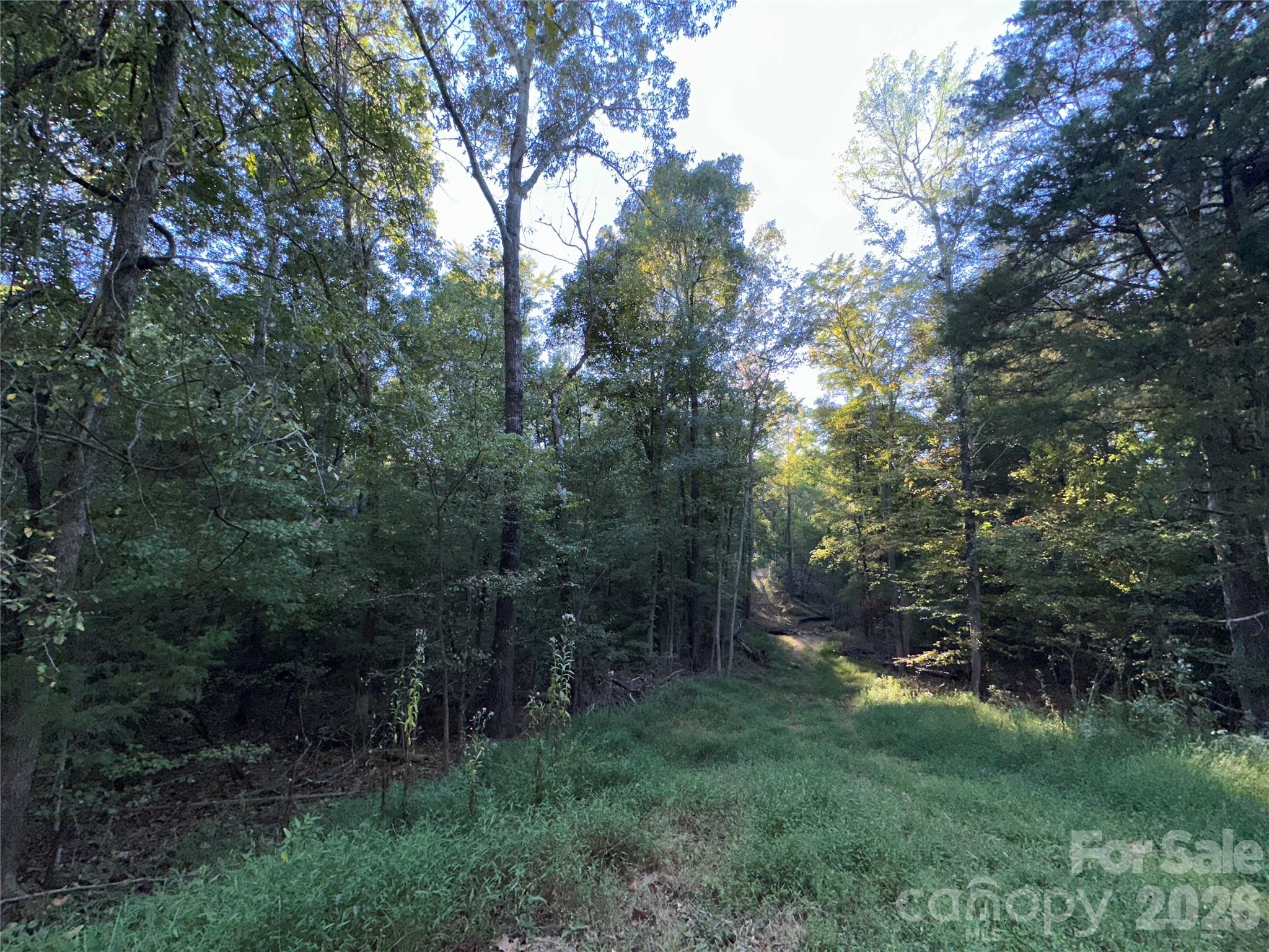 Acreage at 8160 Christopher Road, Concord, photo 7 of 7