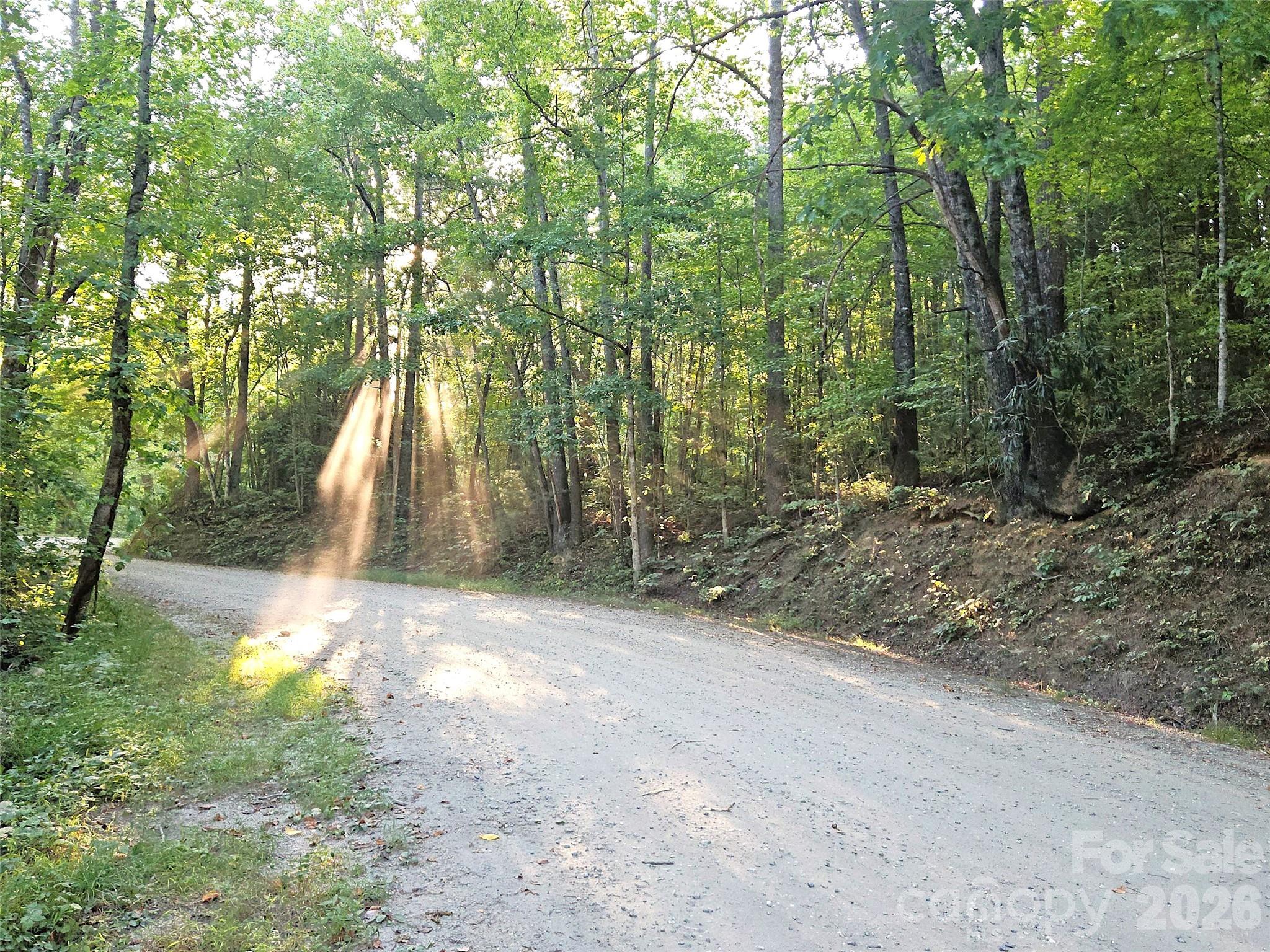 Bear Lake Lot - Frontage access - 99999 Bear Lake Road, Tuckasegee