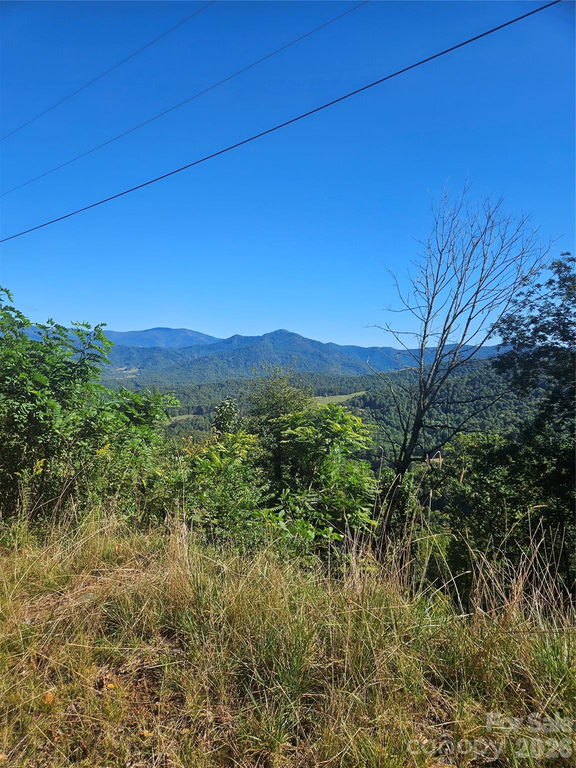 00 White Oak Road
