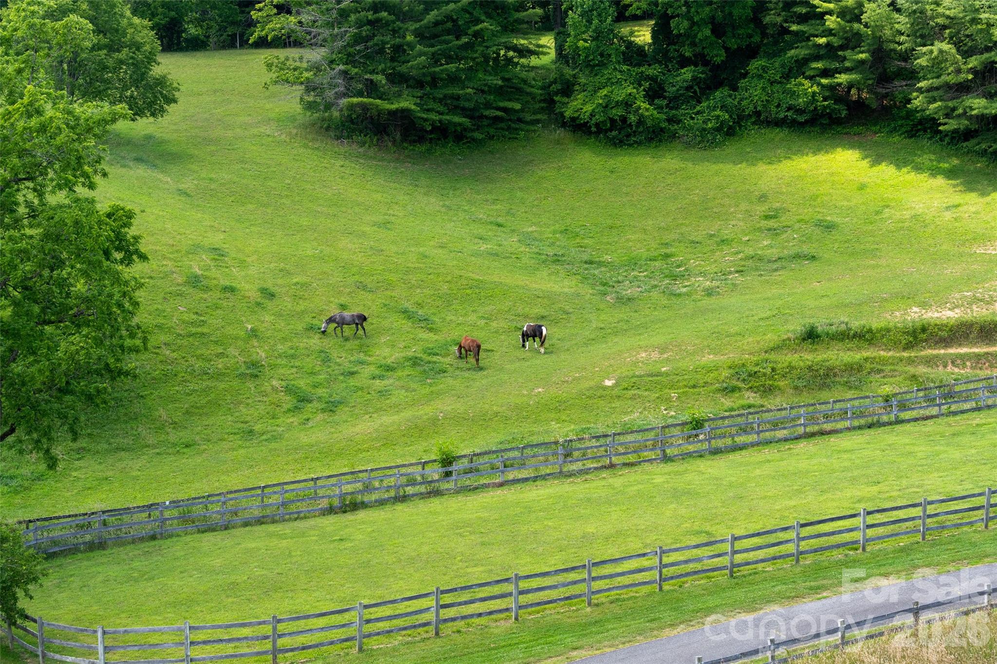 Ample pasture for multi horses. - 316 Stevenson Cove Road, Waynesville