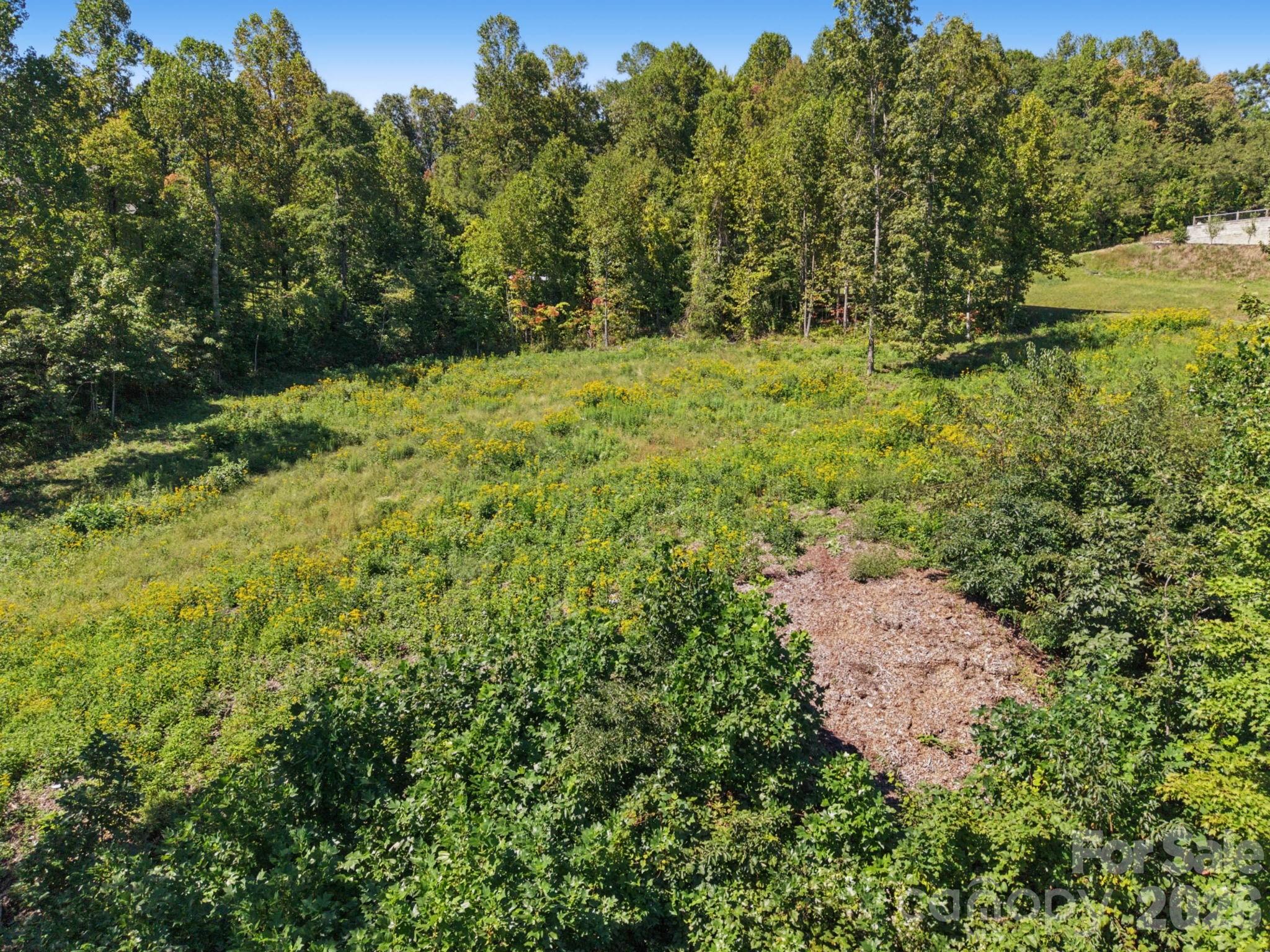 Lot at 1227 Grand Oaks Drive, Hendersonville, photo 8 of 13