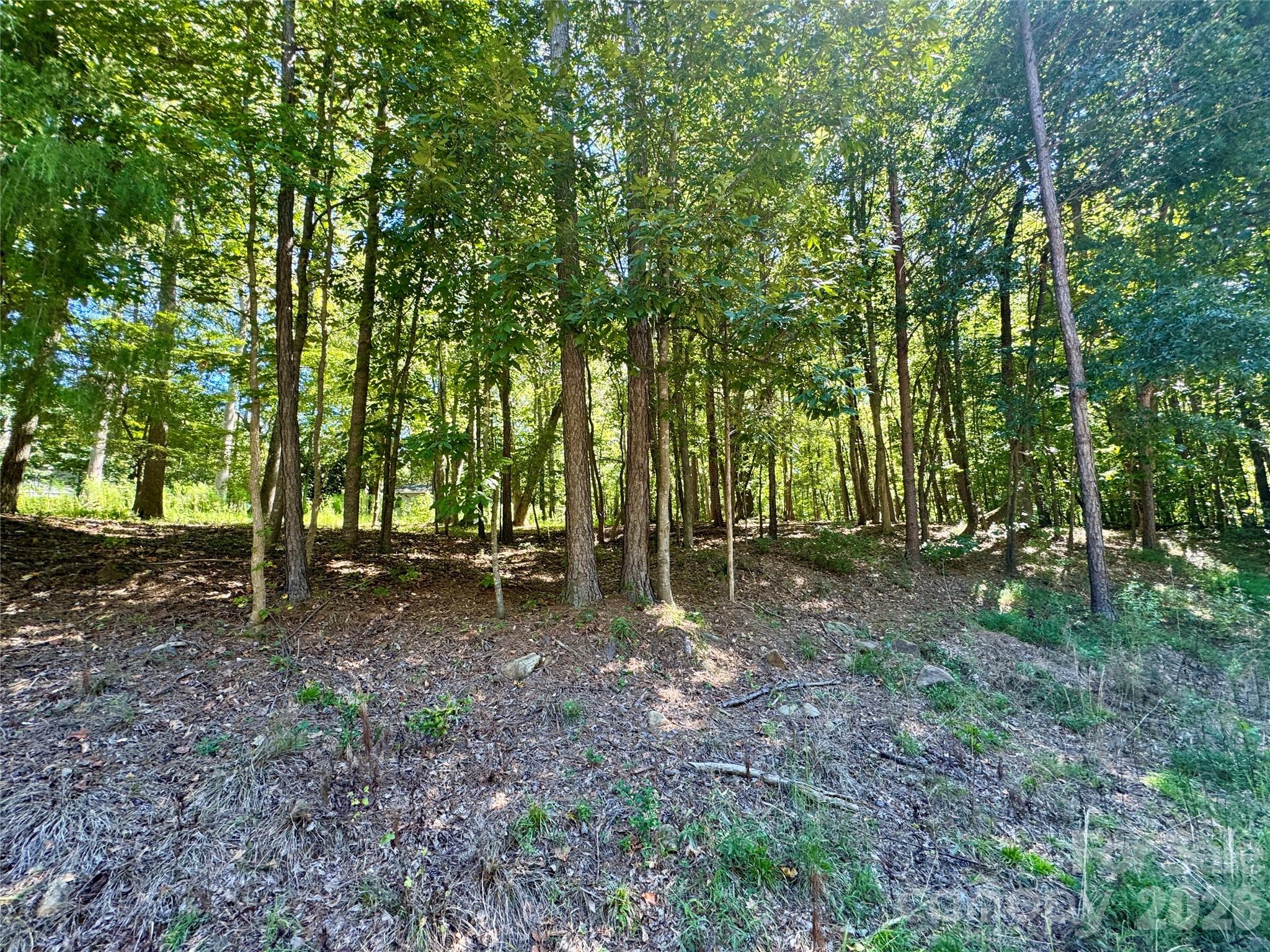 10062 Southwinds Drive