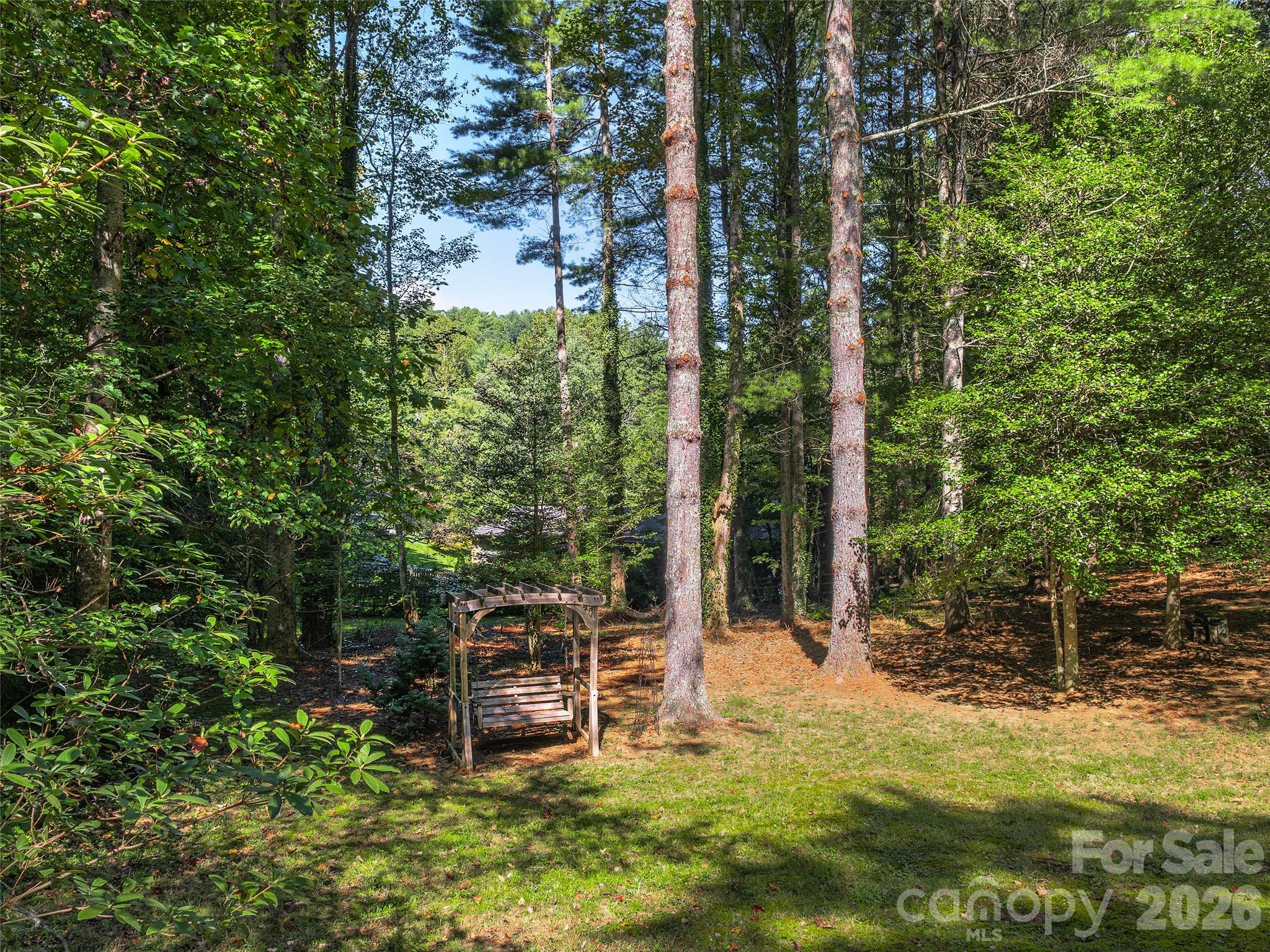 Back Yard View - 2509 Little River Road, Hendersonville