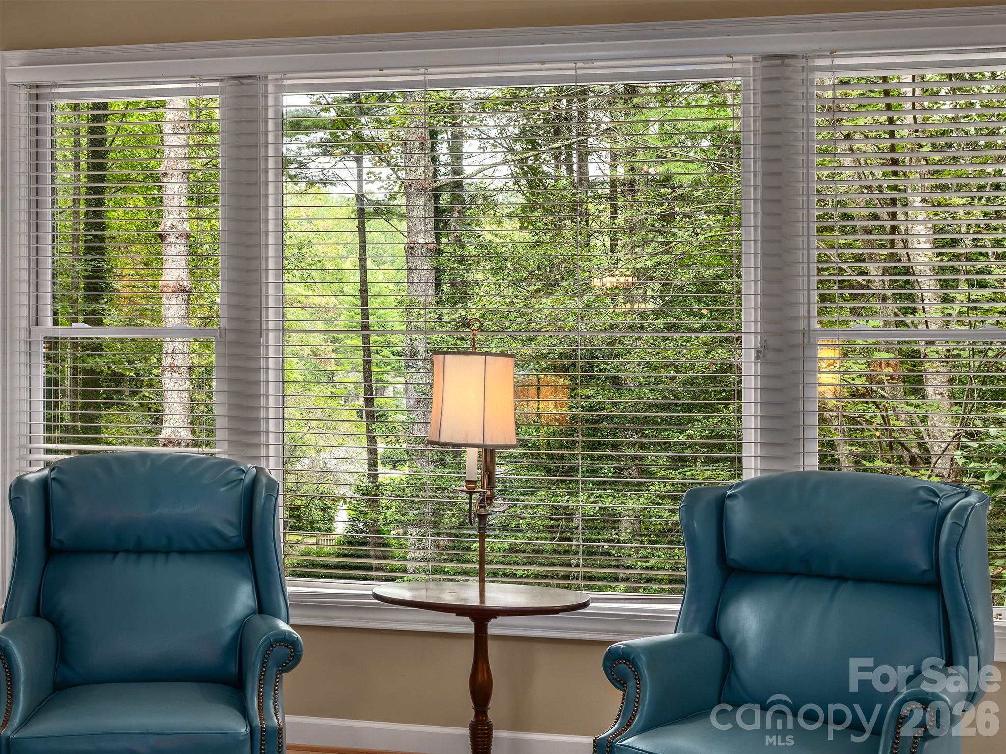 Living Room - 2509 Little River Road, Hendersonville