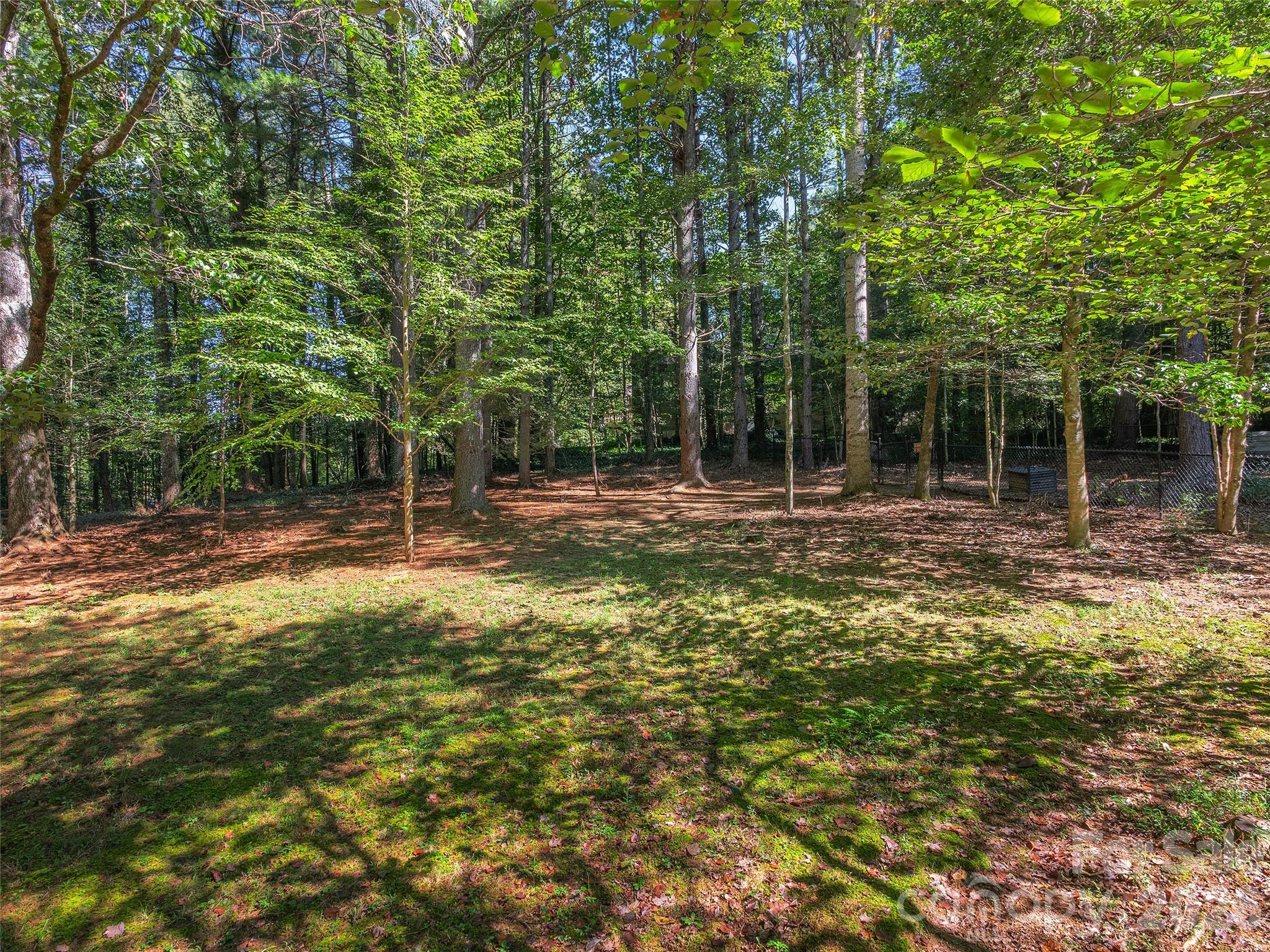 Back Yard - 2509 Little River Road, Hendersonville