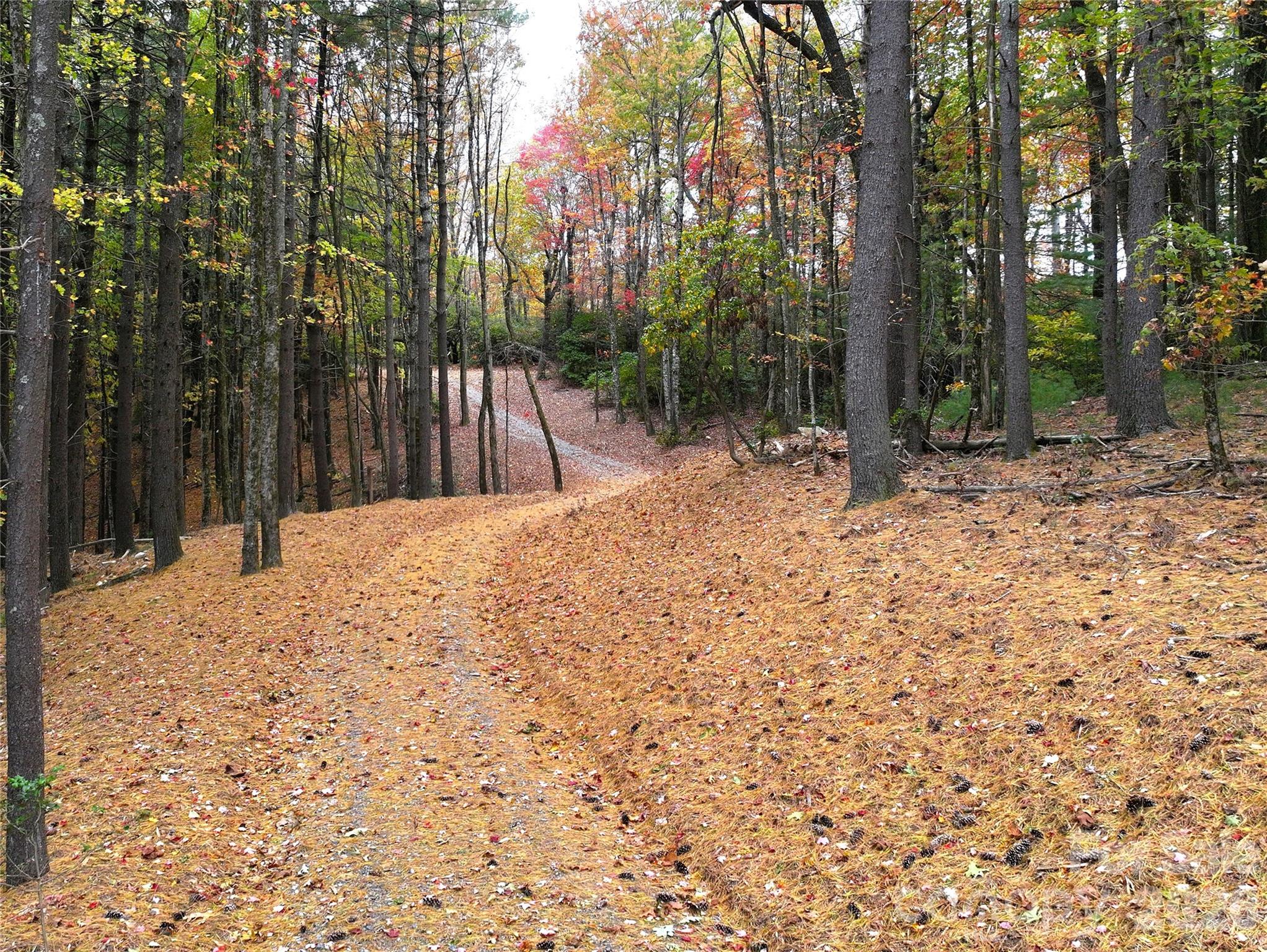 Meadow Road - 243 Ridgeline Drive, Brevard
