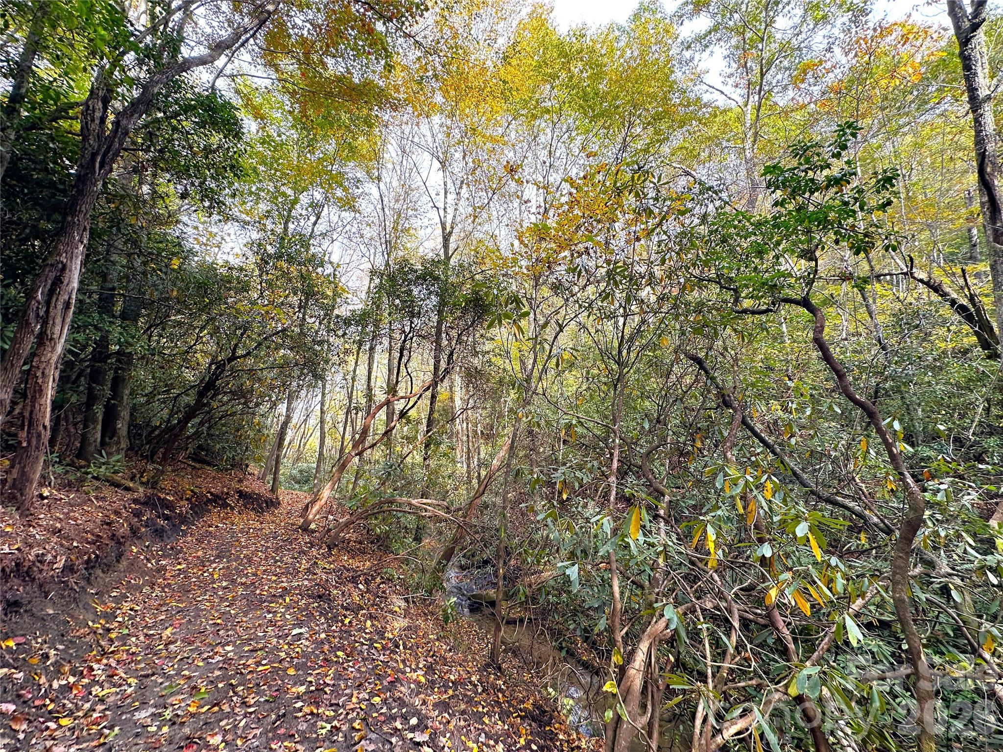 Trail - 243 Ridgeline Drive, Brevard