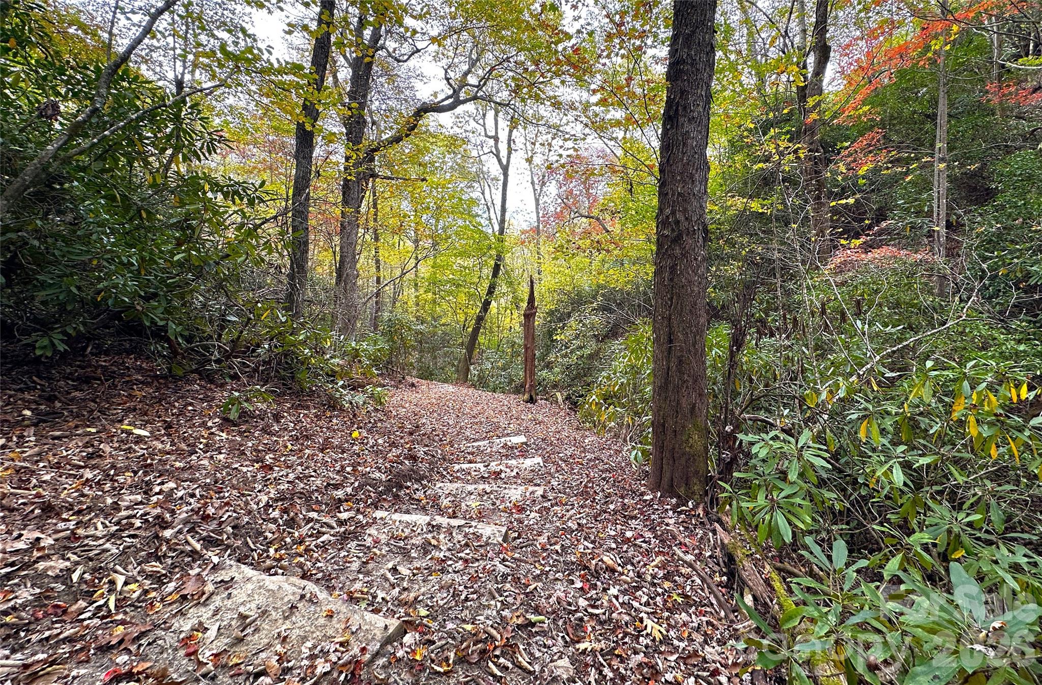 Trail Steps - 243 Ridgeline Drive, Brevard