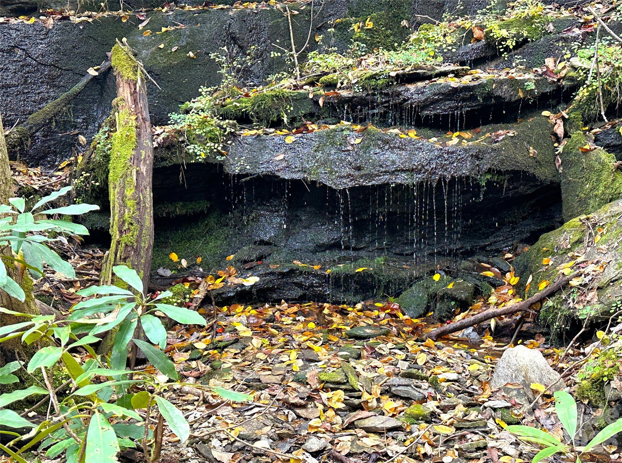 Trail Feature - 243 Ridgeline Drive, Brevard
