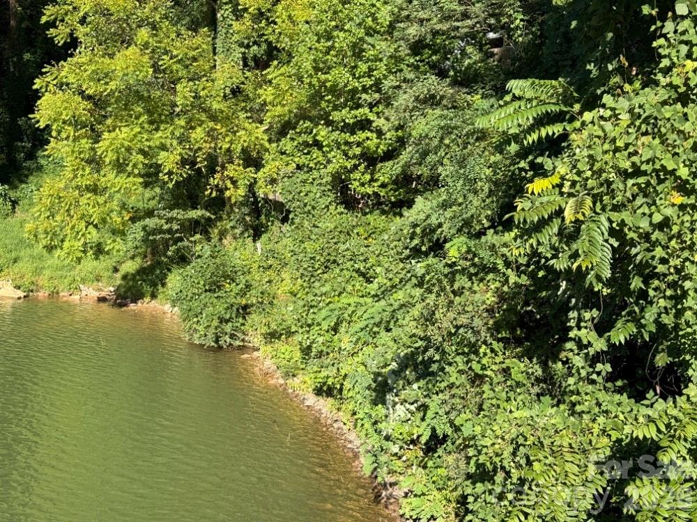 130' of Pristine Lakefrontage - 144 Conroy Court, Lake Lure