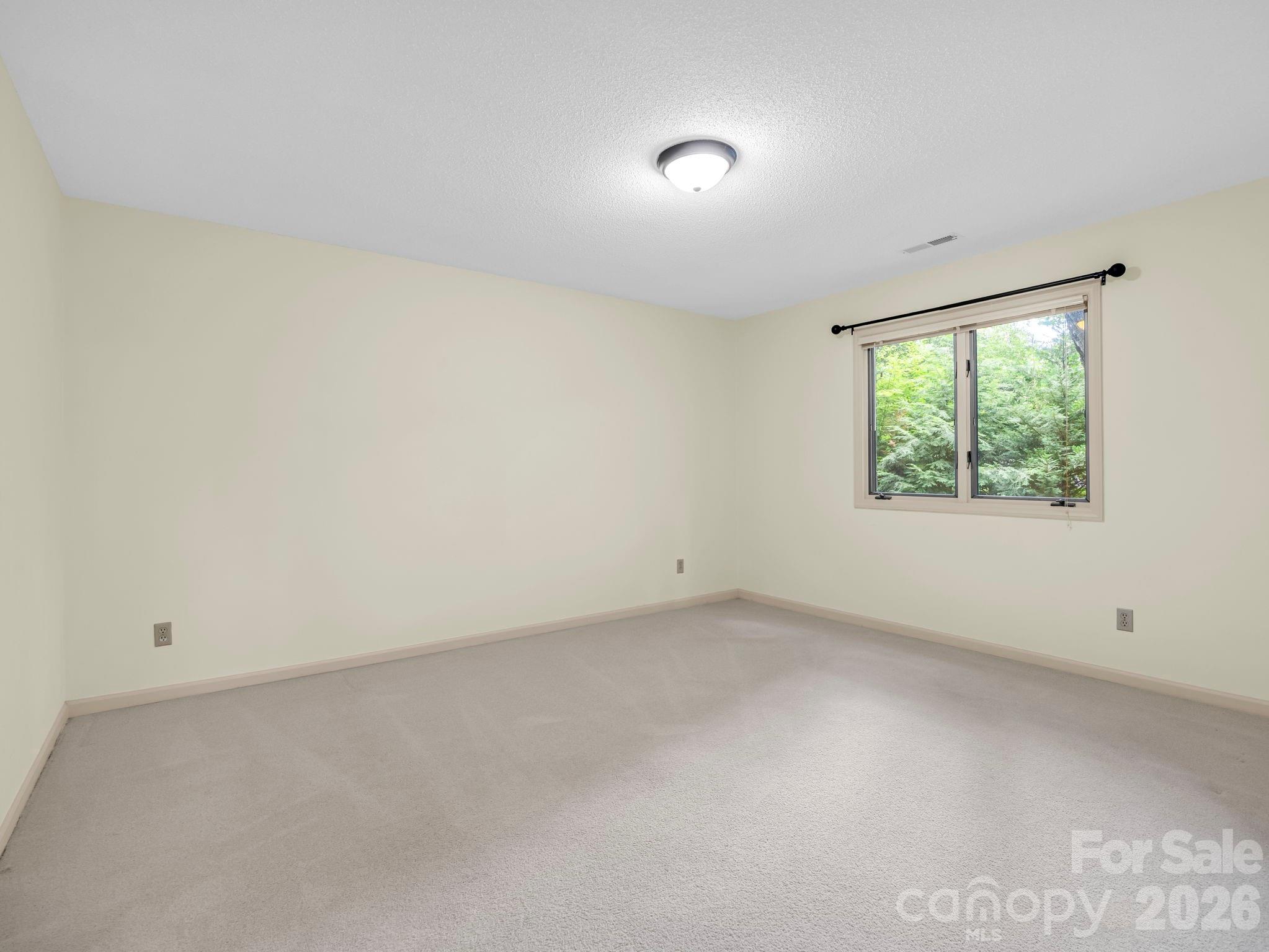 Bedroom #3, lower level - 115 Woodhaven Drive, Hendersonville