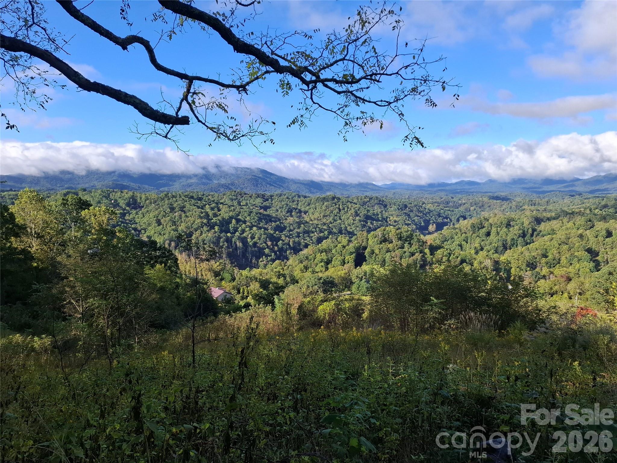 Lot at 310 Sunset Mountain Road, Bakersville, photo 3 of 30