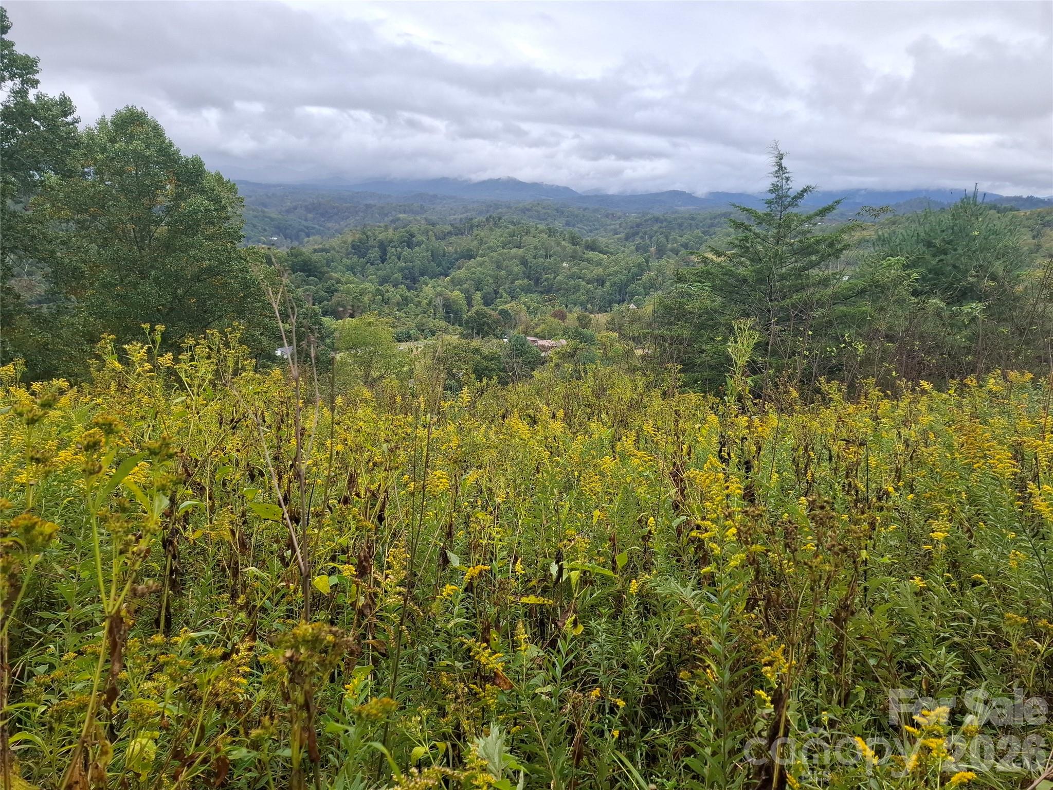 Lot at 310 Sunset Mountain Road, Bakersville, photo 4 of 30