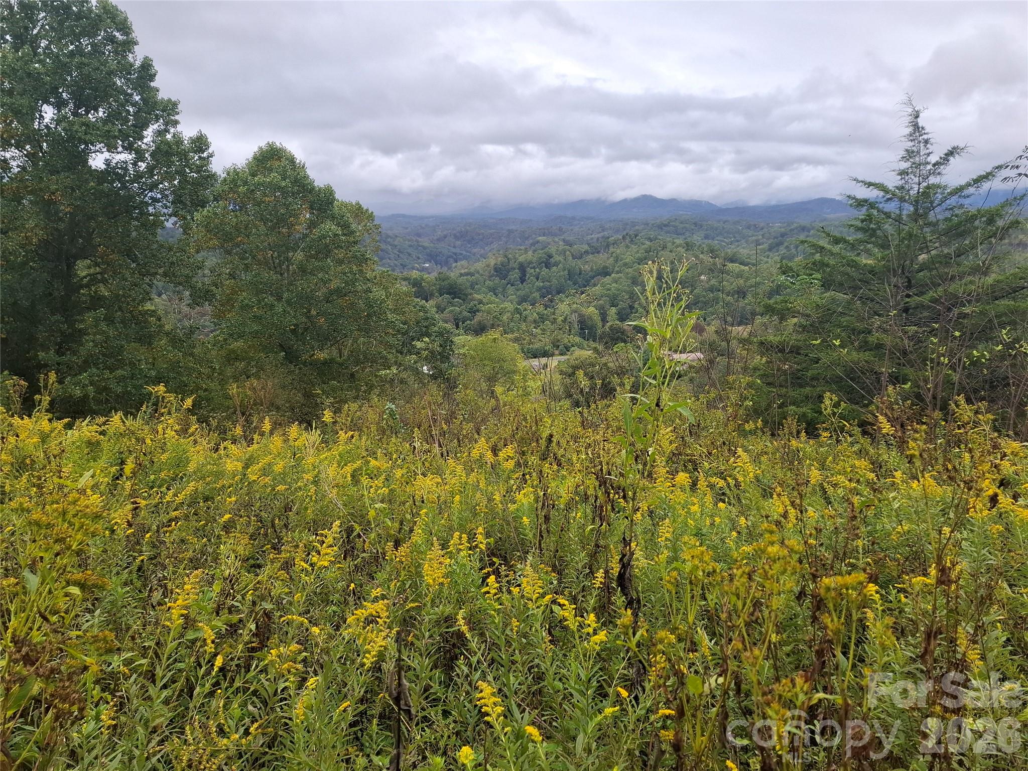 Lot at 310 Sunset Mountain Road, Bakersville, photo 5 of 30