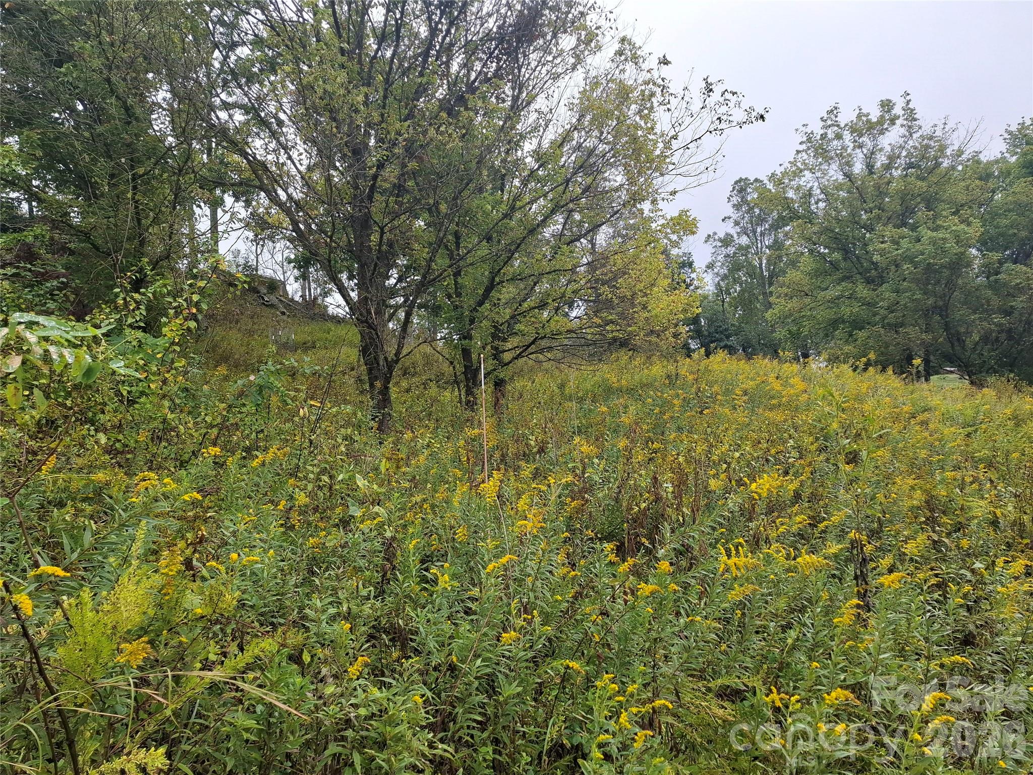 Lot at 310 Sunset Mountain Road, Bakersville, photo 7 of 30