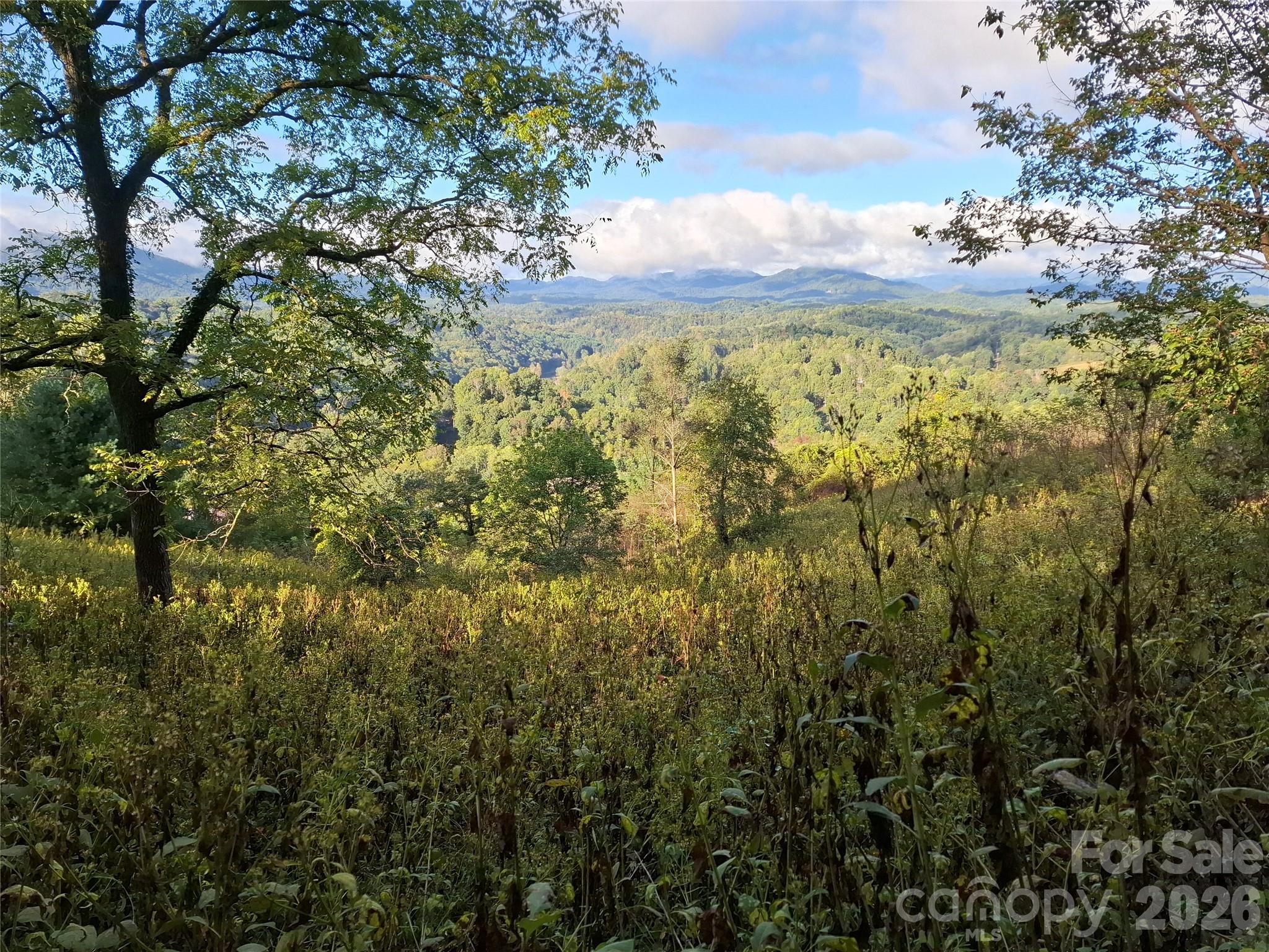 Lot at 310 Sunset Mountain Road, Bakersville, photo 6 of 30