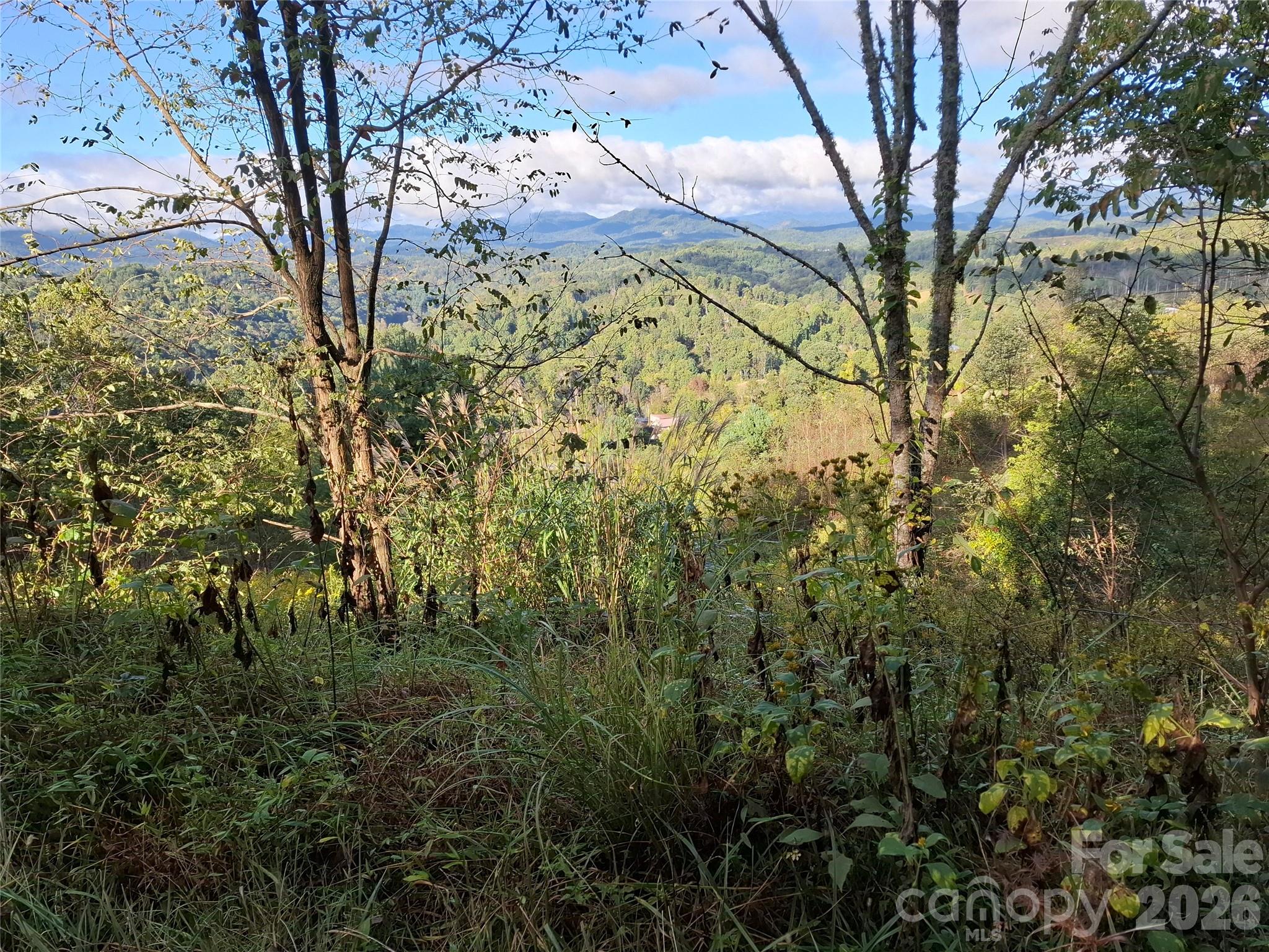 Lot at 310 Sunset Mountain Road, Bakersville, photo 8 of 30