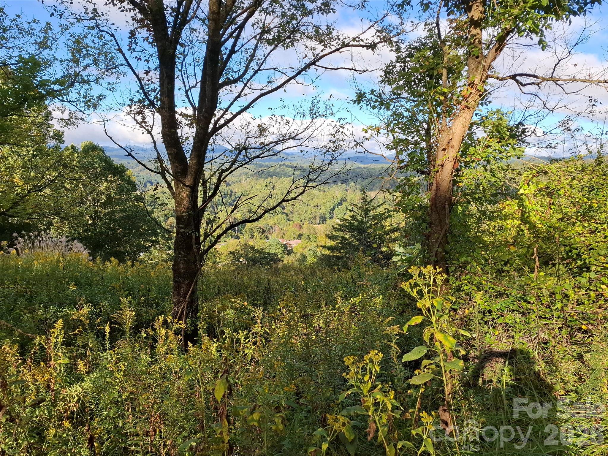 Lot at 310 Sunset Mountain Road, Bakersville, photo 9 of 30