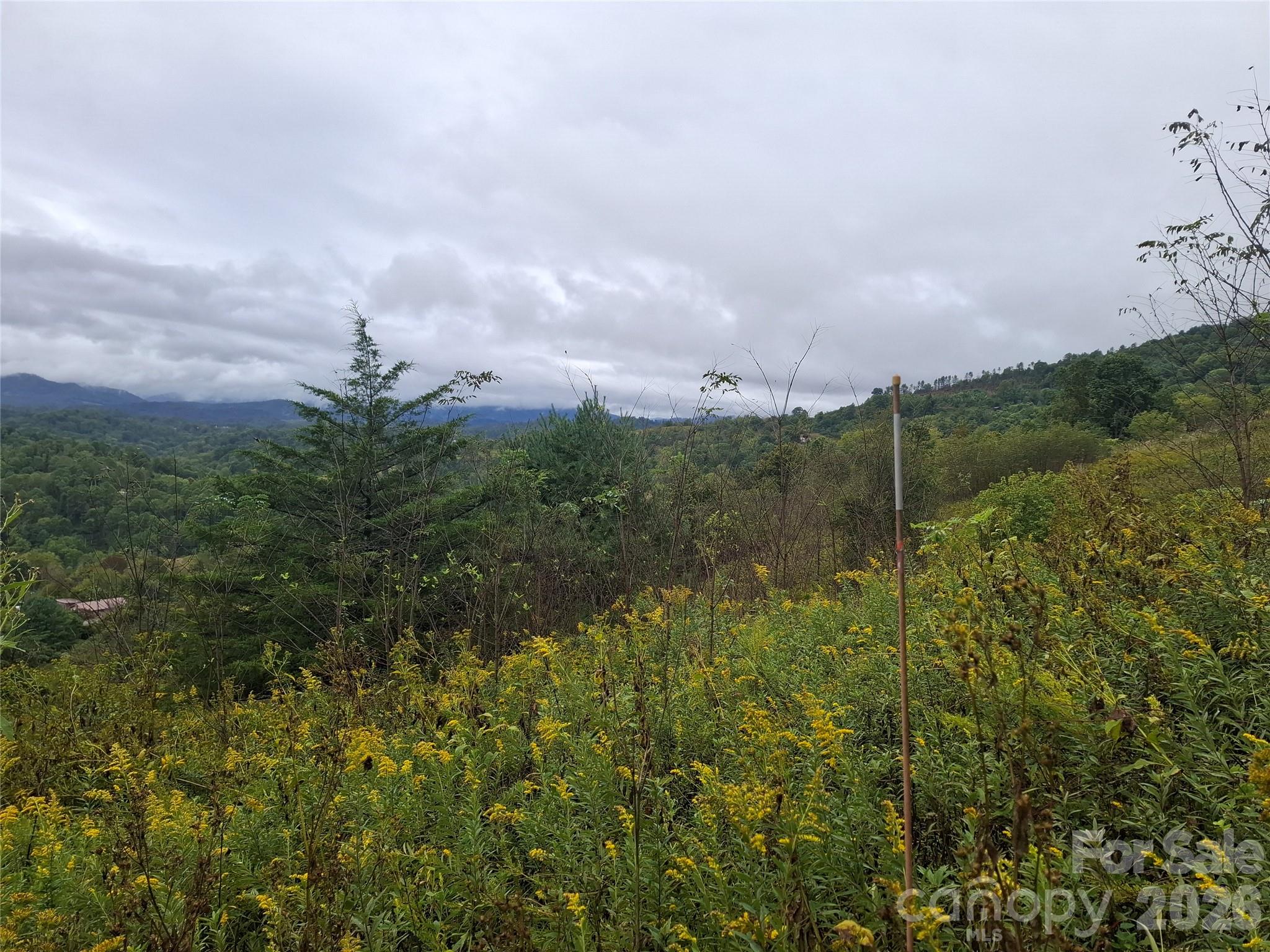 Lot at 310 Sunset Mountain Road, Bakersville, photo 18 of 30