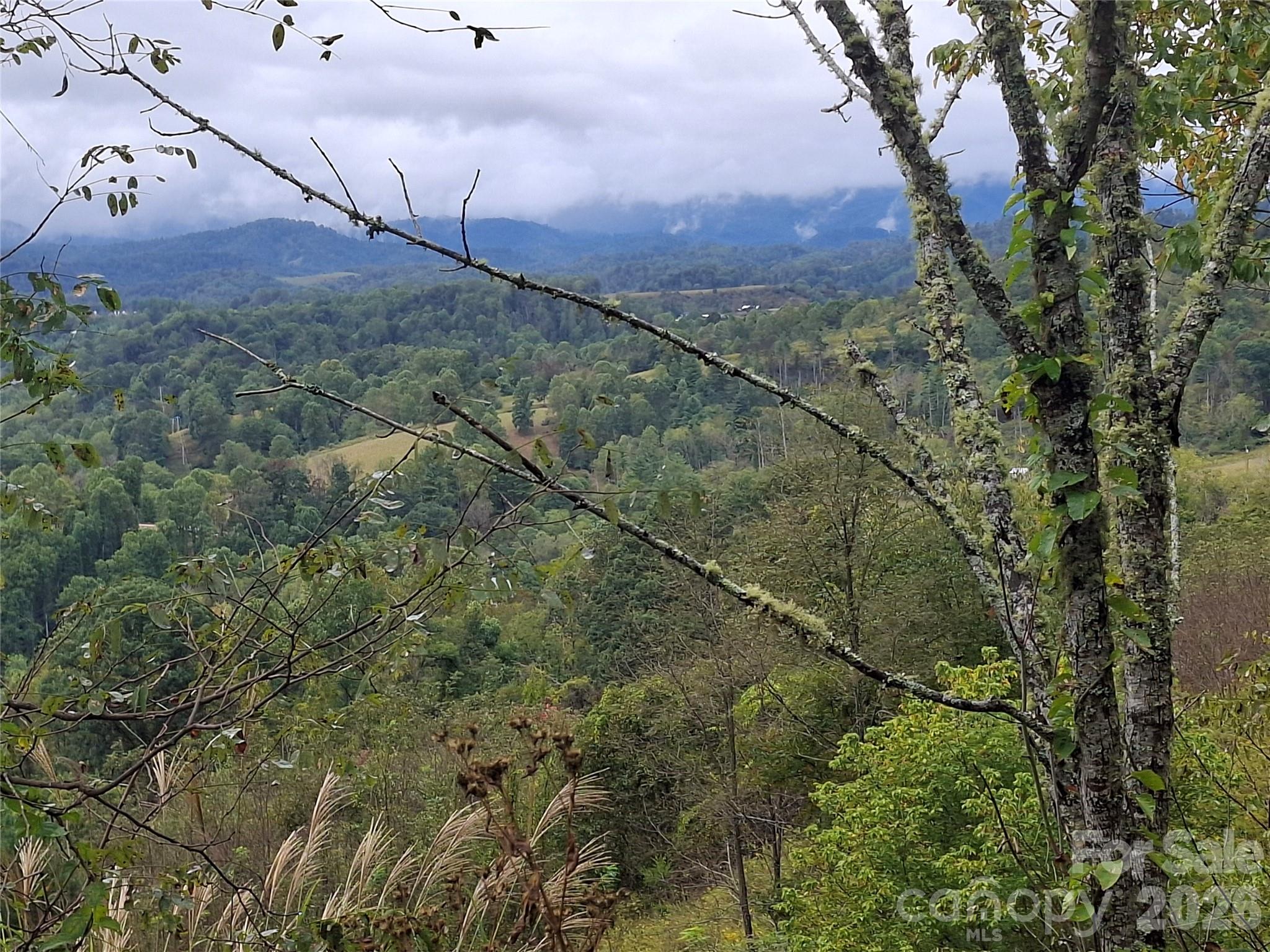 Lot at 310 Sunset Mountain Road, Bakersville, photo 20 of 30