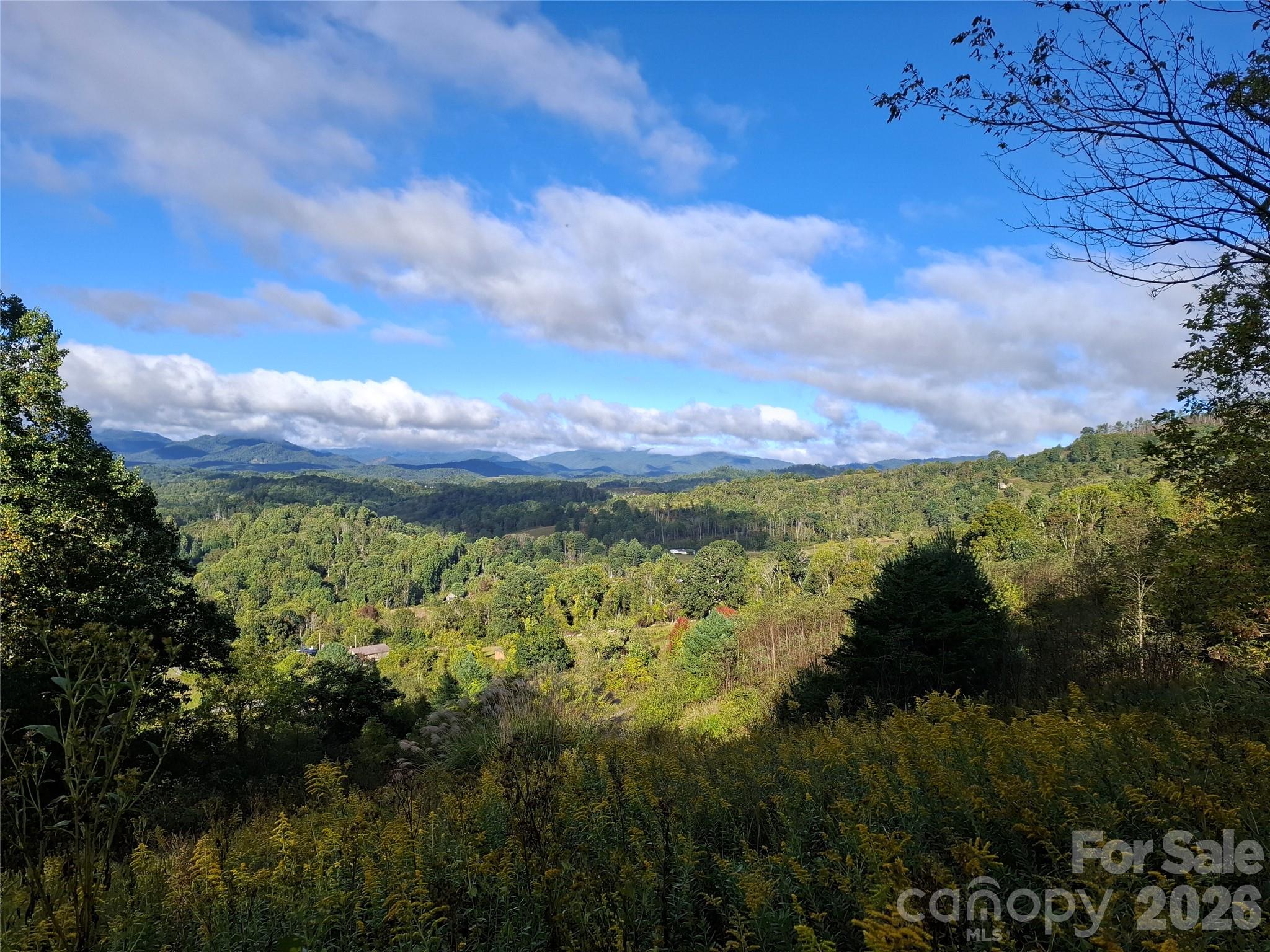 Lot at 310 Sunset Mountain Road, Bakersville, photo 2 of 30