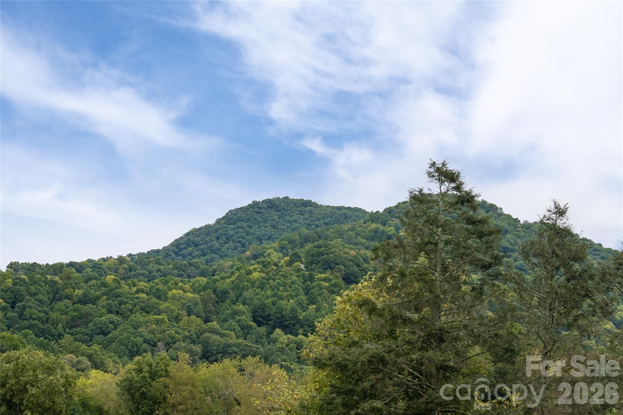 Single Family Residence at 2375 Crymes Cove Road, Waynesville, photo 44 of 48