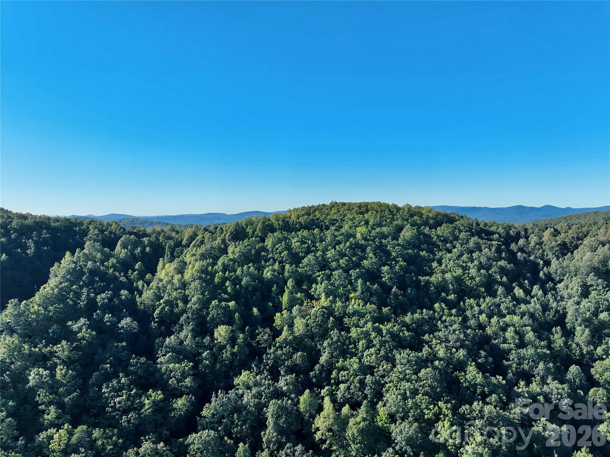 Acreage at 0 Jacumin Road, Valdese, photo 10 of 27