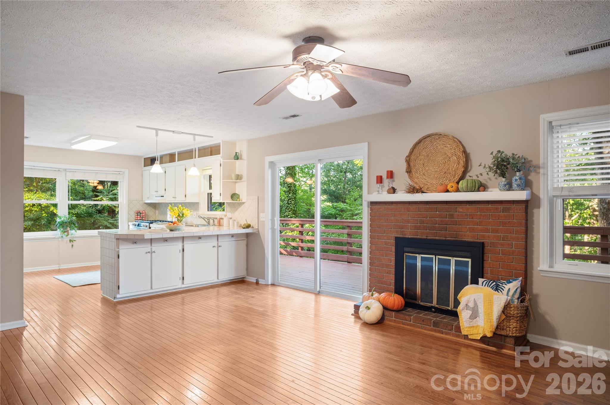 Single Family Residence at 8 Galax Lane, Hendersonville, photo 16 of 48